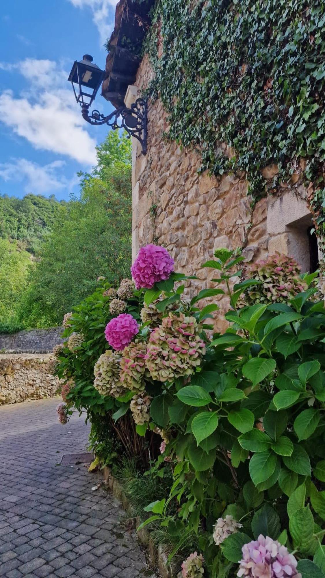 Casa Marna