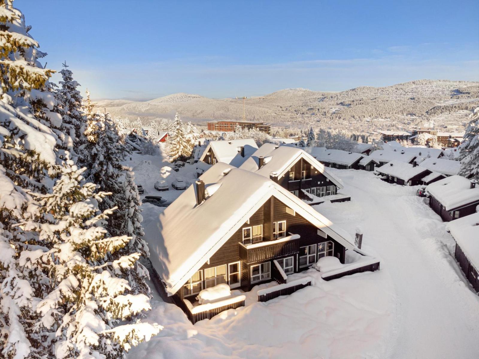 Trysil Alpin 40A