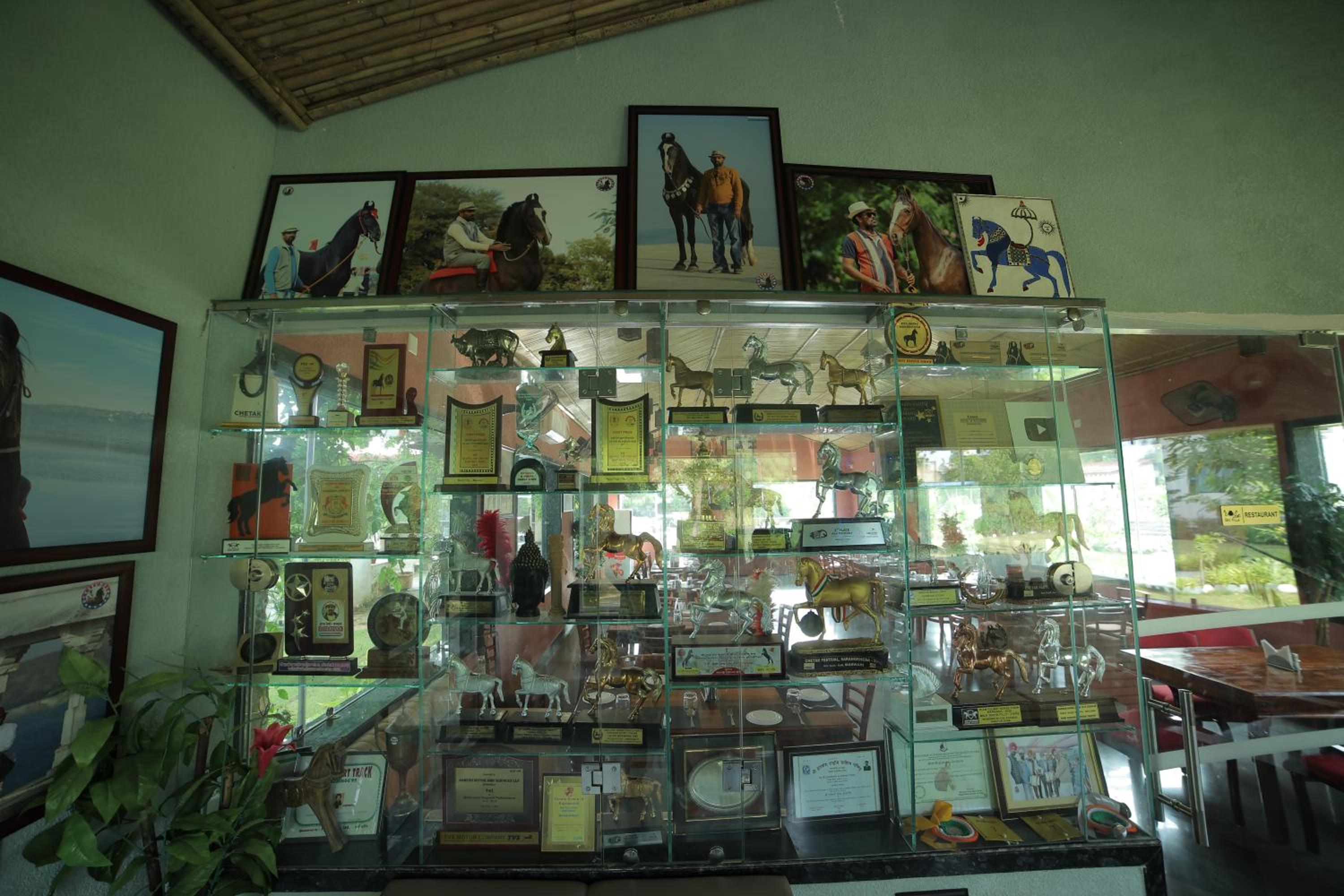 Photo 20
