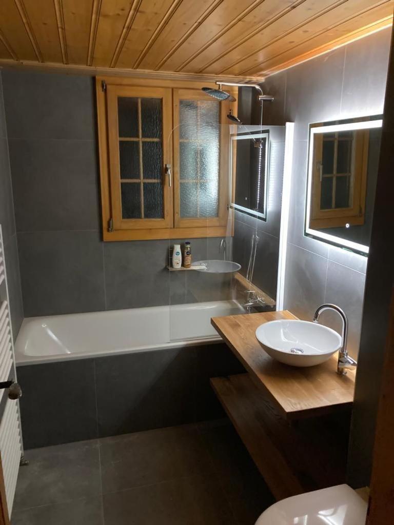 Chalet Soldanella 10 guests Gstaad