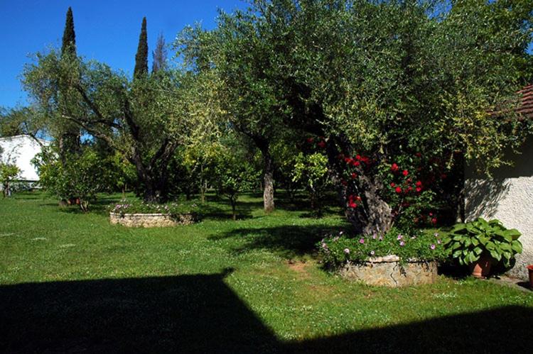 Omirico Studios