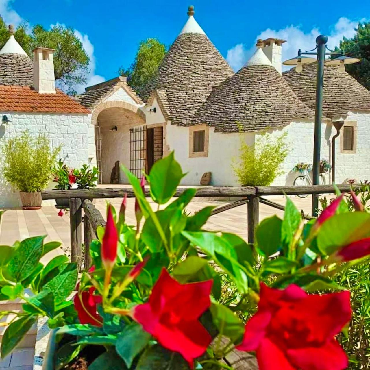 Trulli Bosco Selva — photo 3