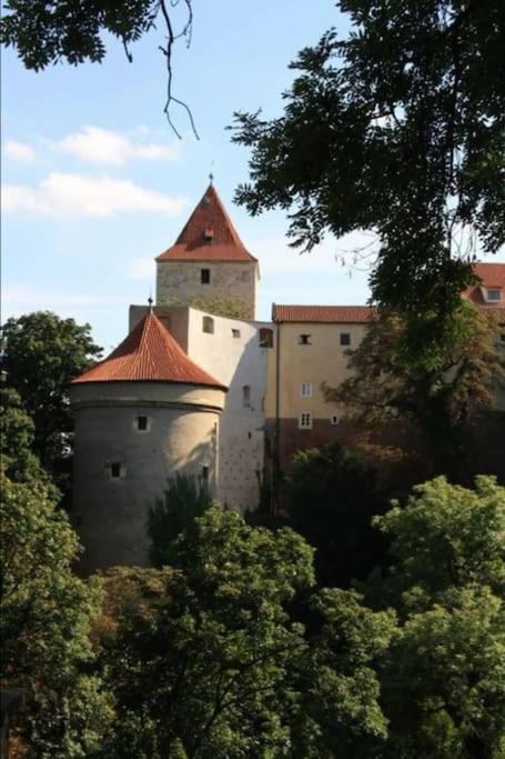 Huge 5-bedrooms apartment near Prague Castle