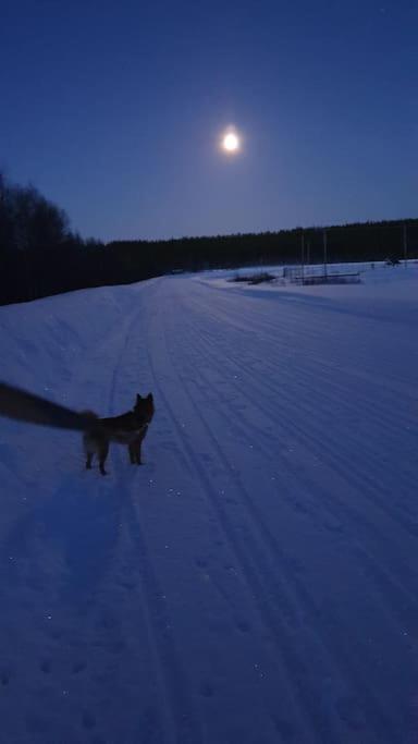 Tervetuloa nauttimhaan puhtaasta luonnosta Pelhoon