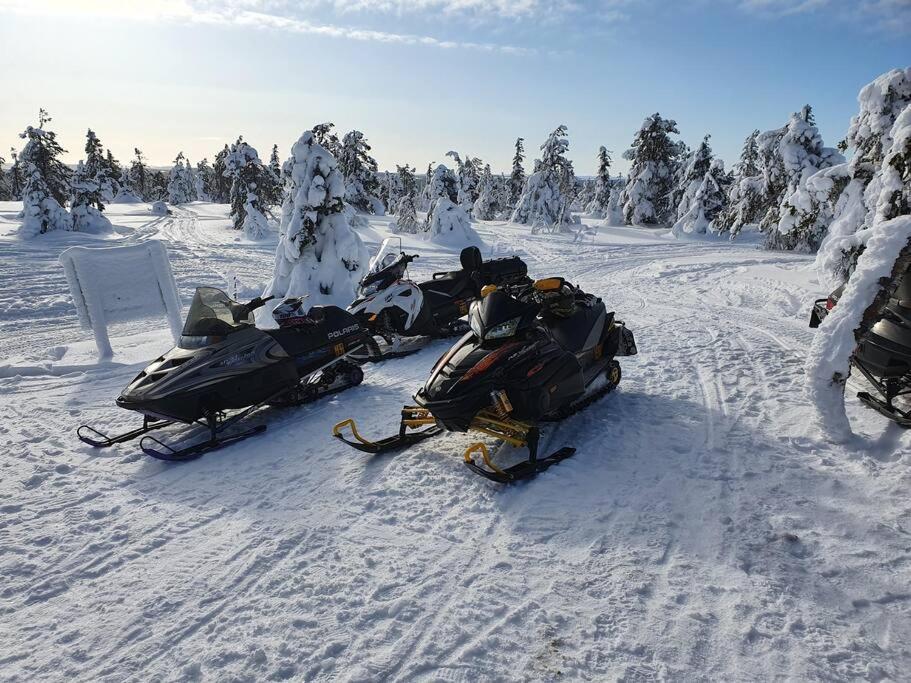 Tervetuloa nauttimhaan puhtaasta luonnosta Pelhoon