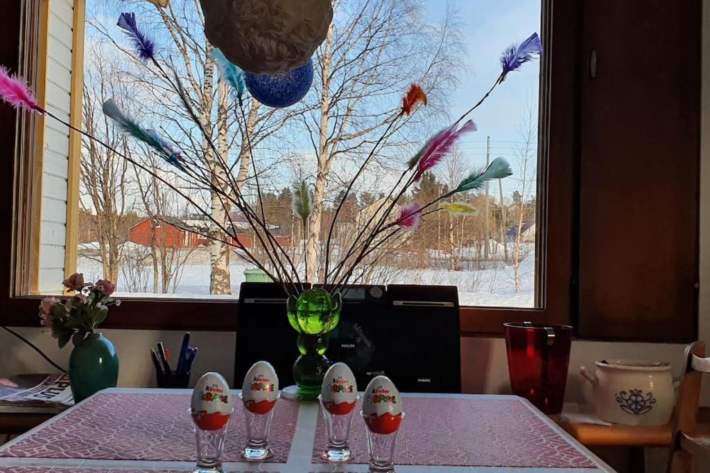 Tervetuloa nauttimhaan puhtaasta luonnosta Pelhoon