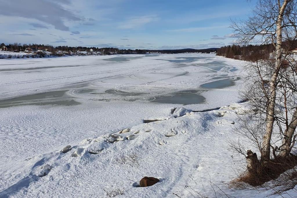 Tervetuloa nauttimhaan puhtaasta luonnosta Pelhoon