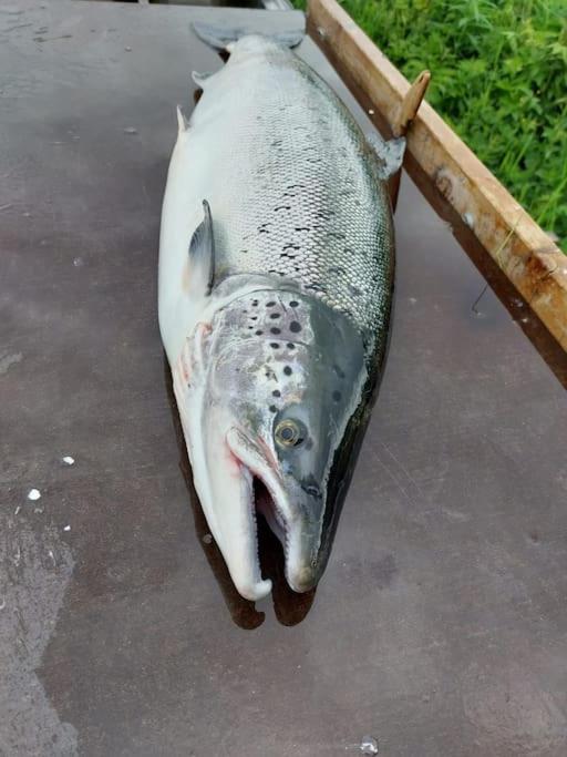 Tervetuloa nauttimhaan puhtaasta luonnosta Pelhoon