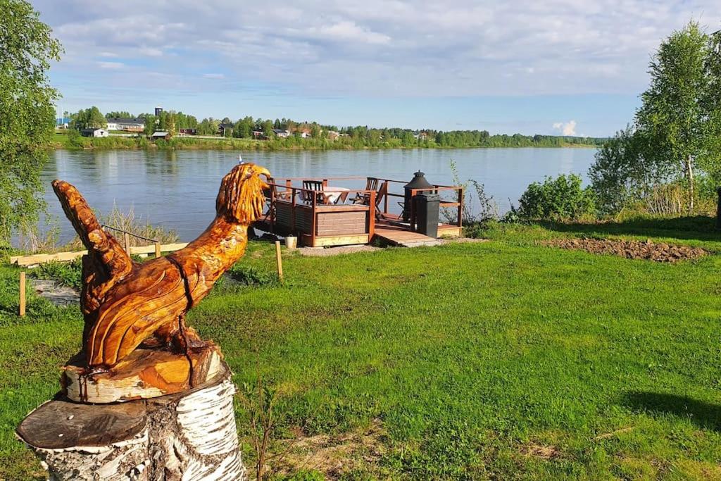 Tervetuloa nauttimhaan puhtaasta luonnosta Pelhoon