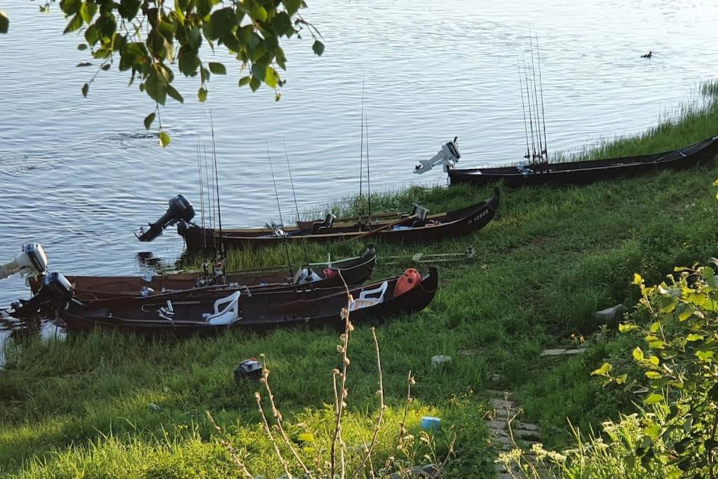 Tervetuloa nauttimhaan puhtaasta luonnosta Pelhoon