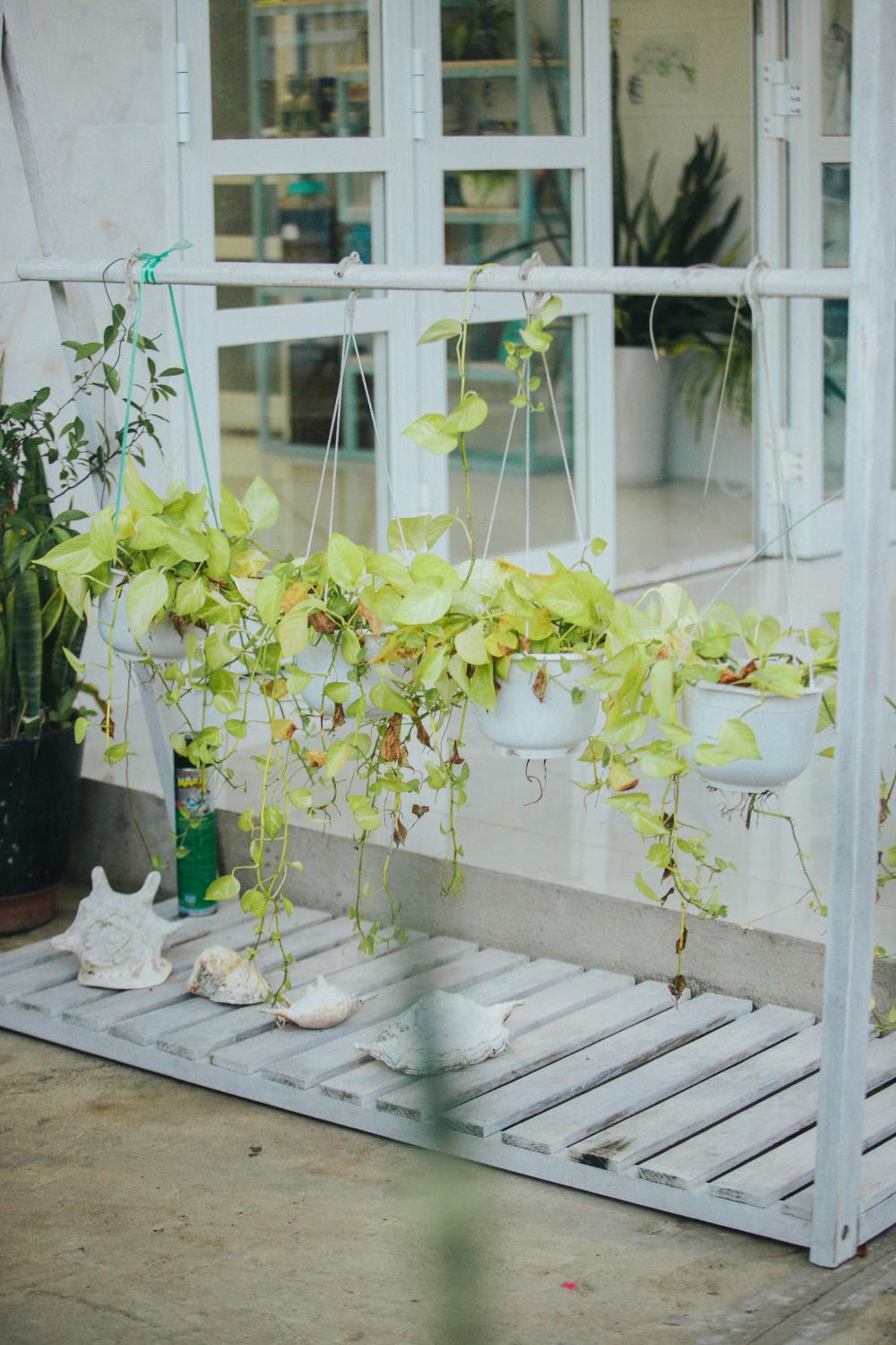 Ngôi nhà nhỏ Lagi Homestay