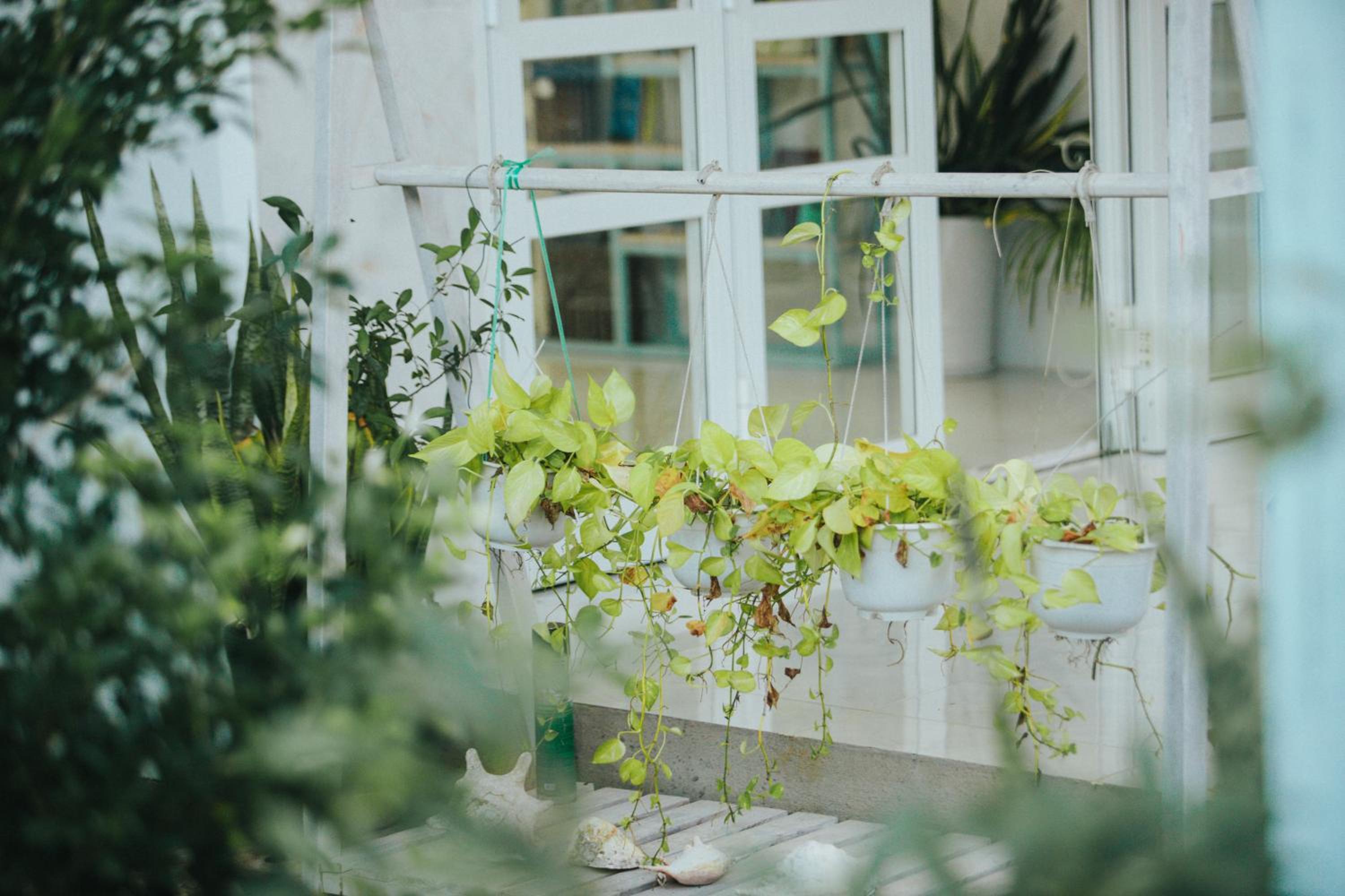 Ngôi nhà nhỏ Lagi Homestay