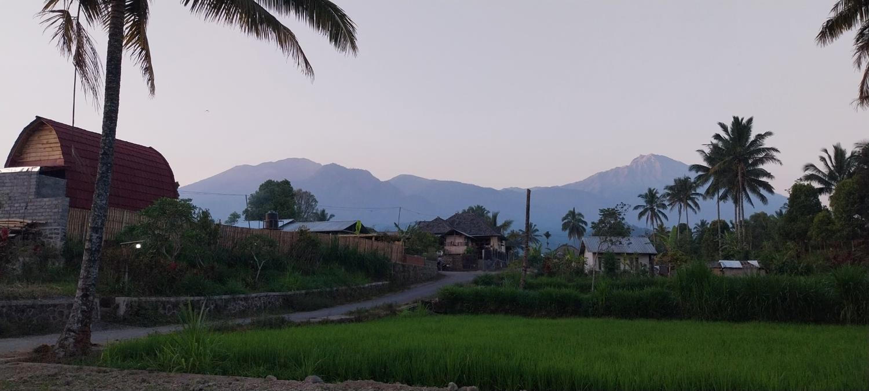 Raturinjani homestay