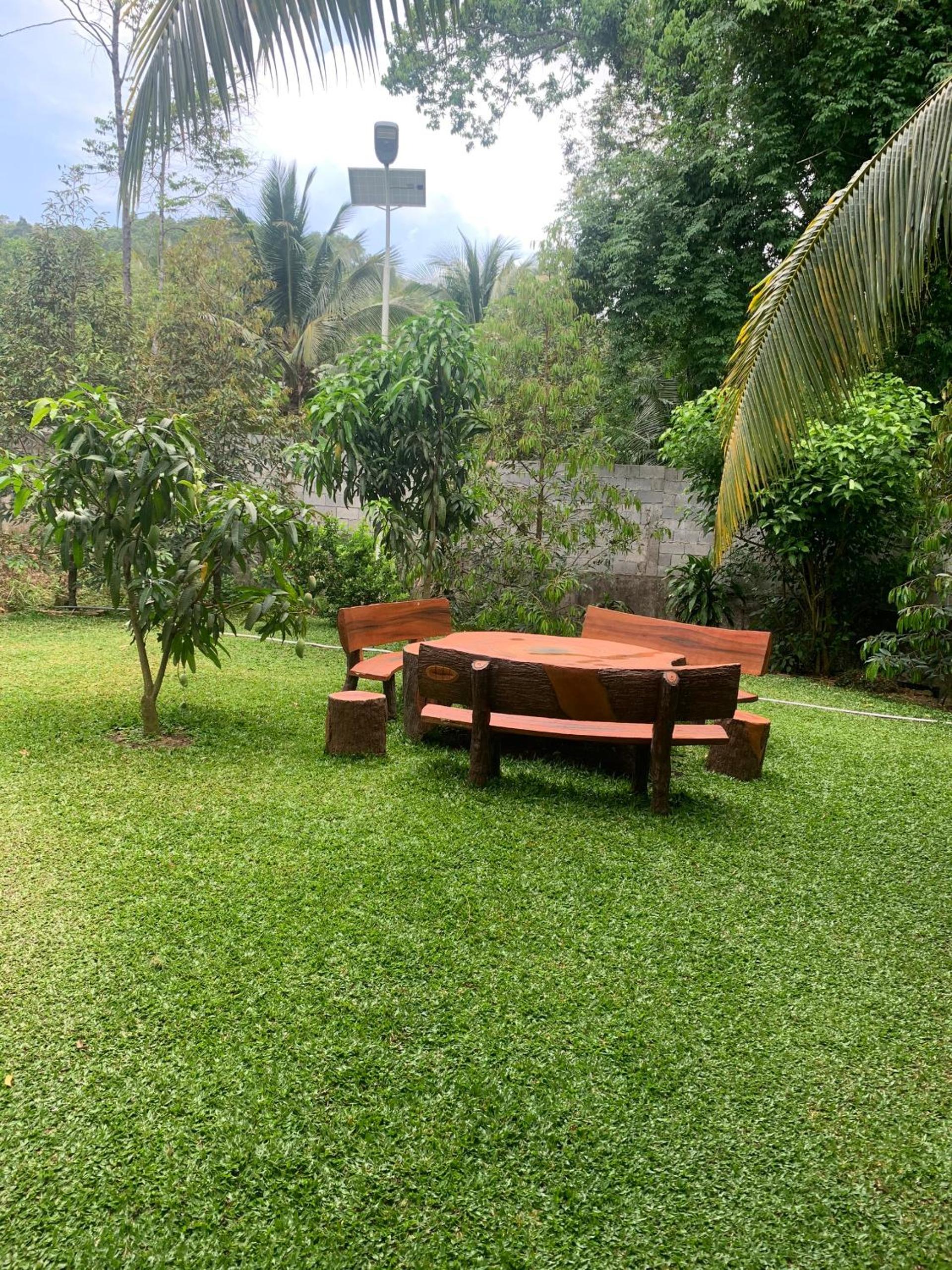 Photo 44