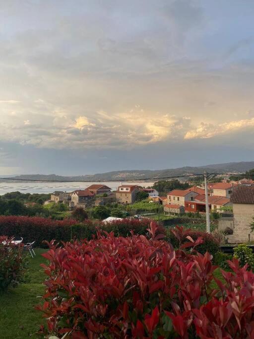 Le petit paradis