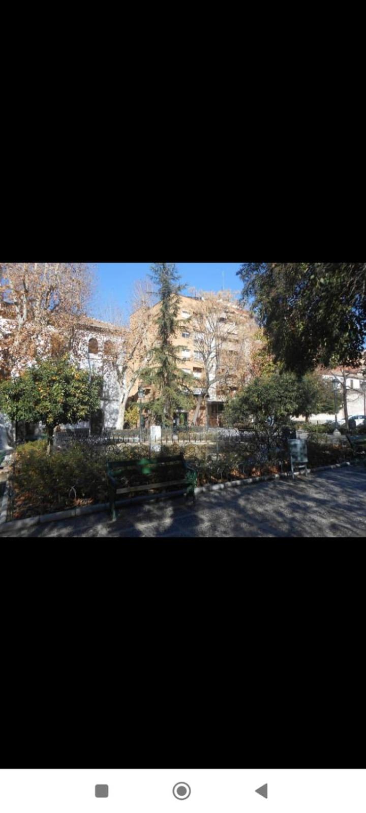 HORNO ABAD GRANADA CENTRO
