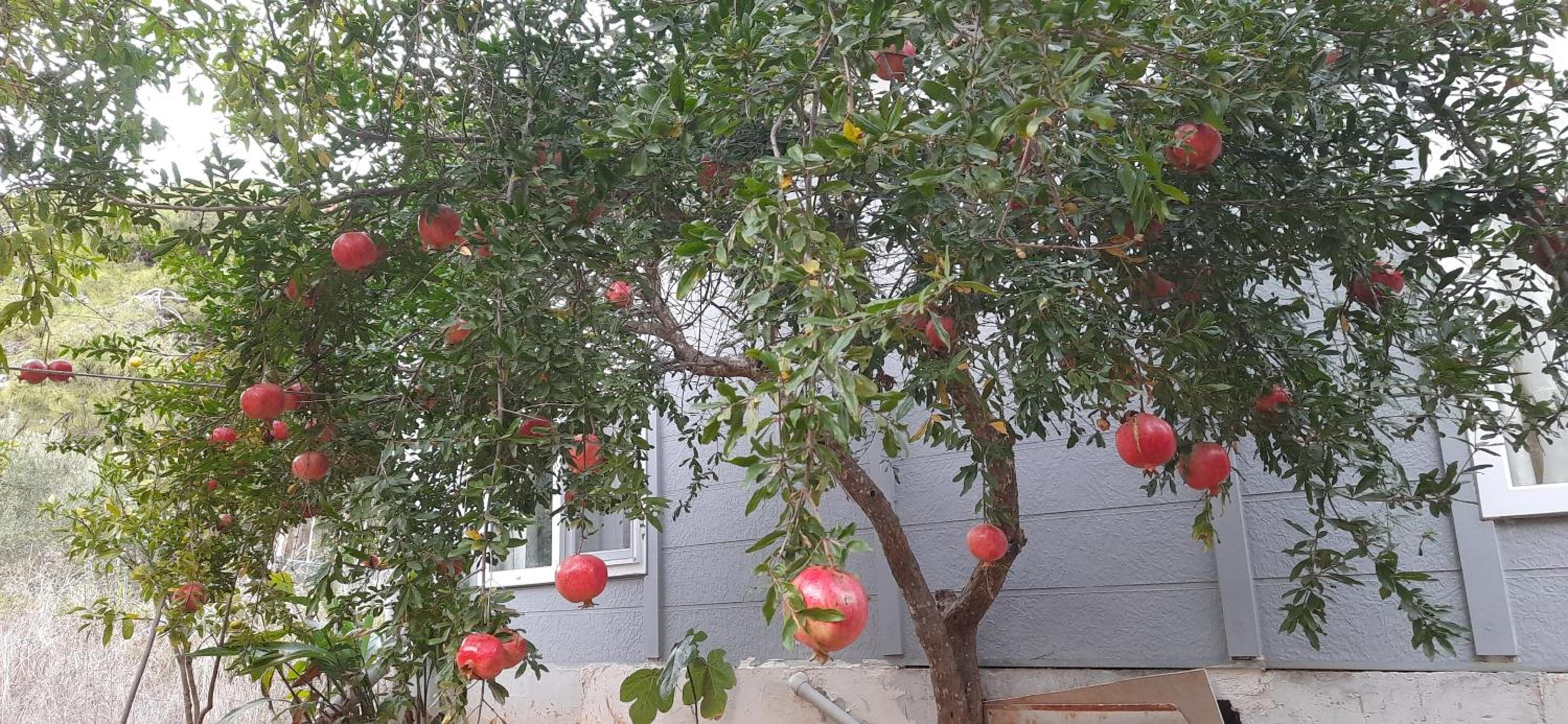 Gelidonia Holiday Home on the Lycian Way