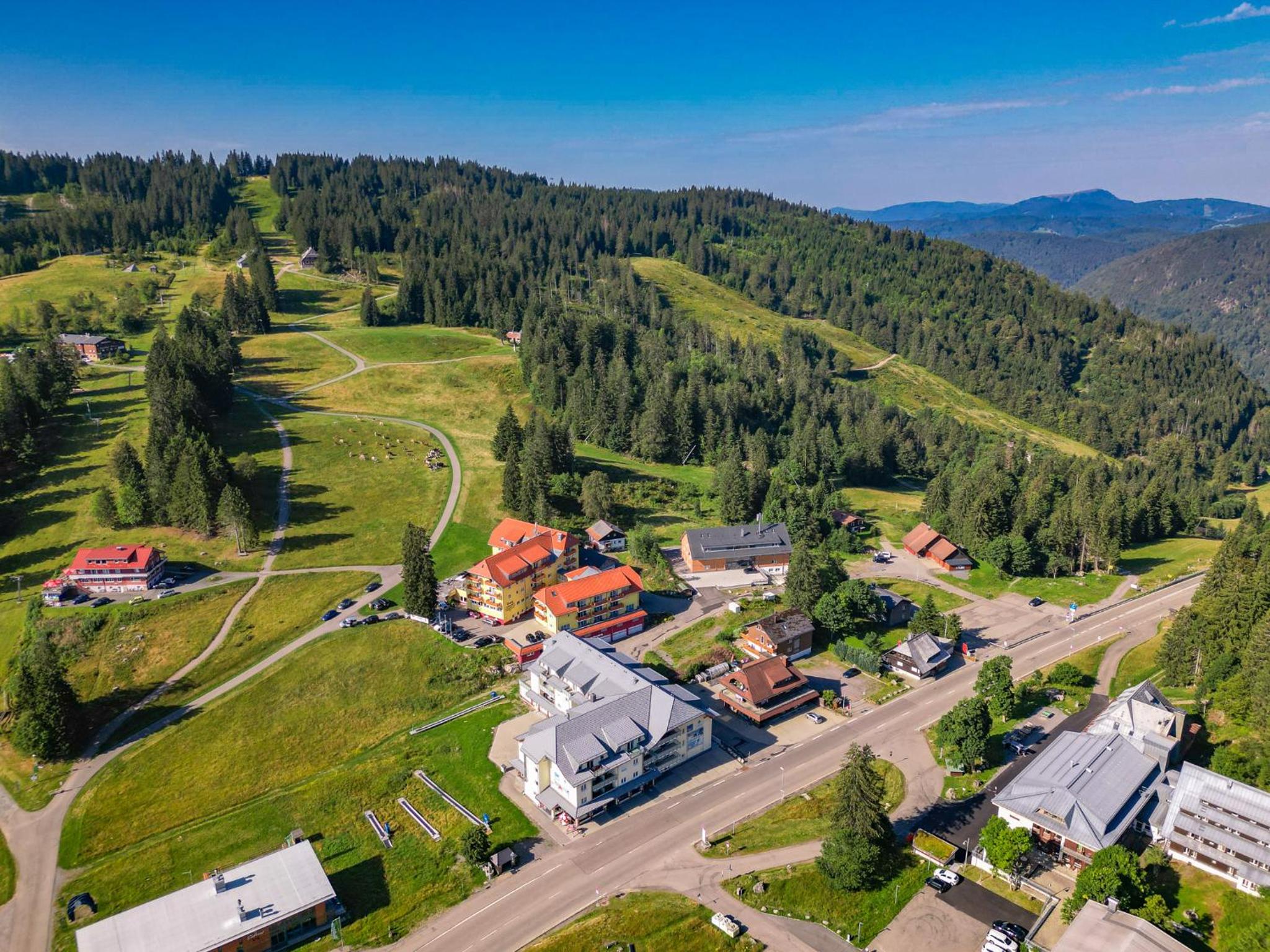 Auerhahn Feldberg