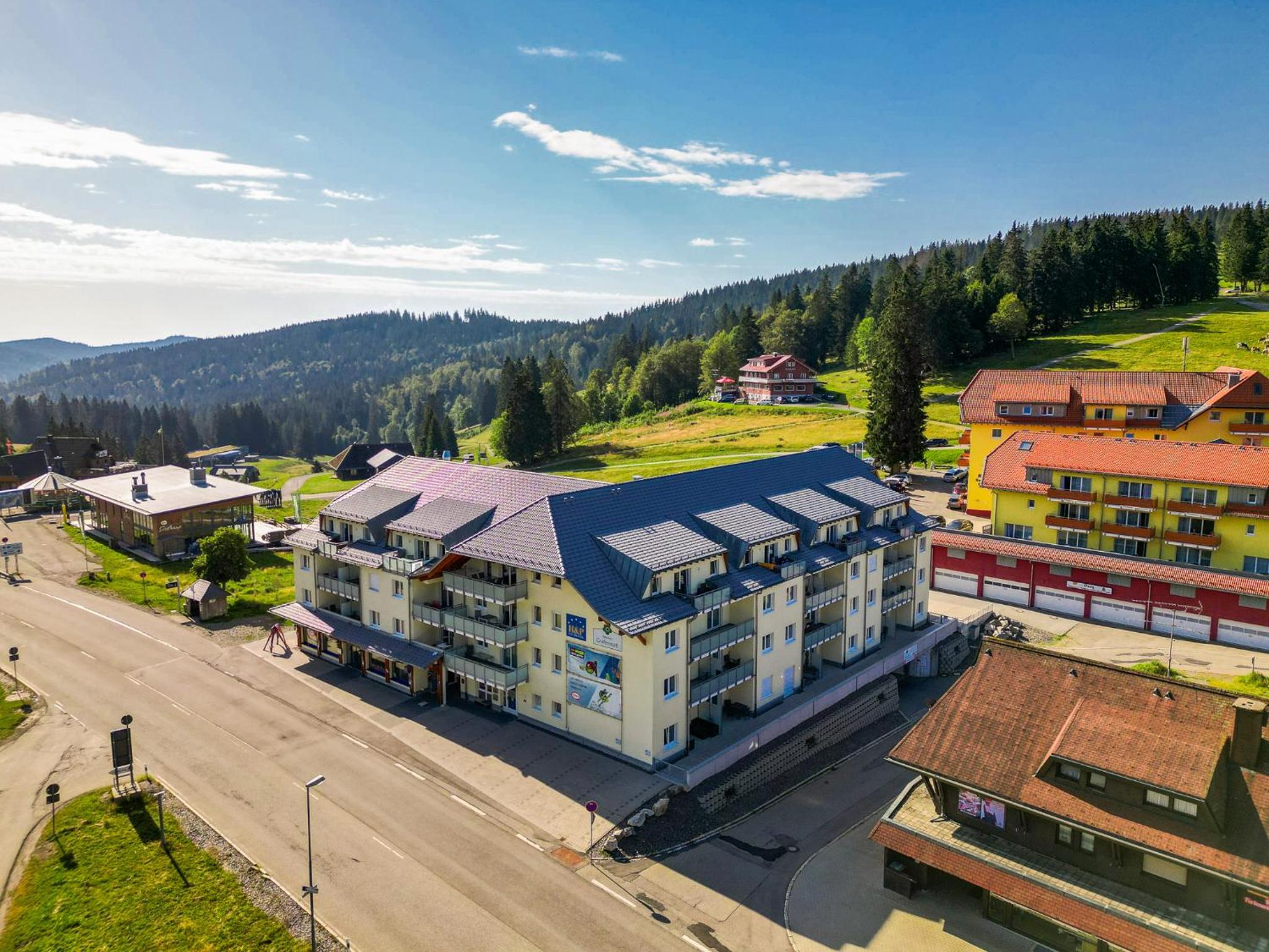 Auerhahn Feldberg