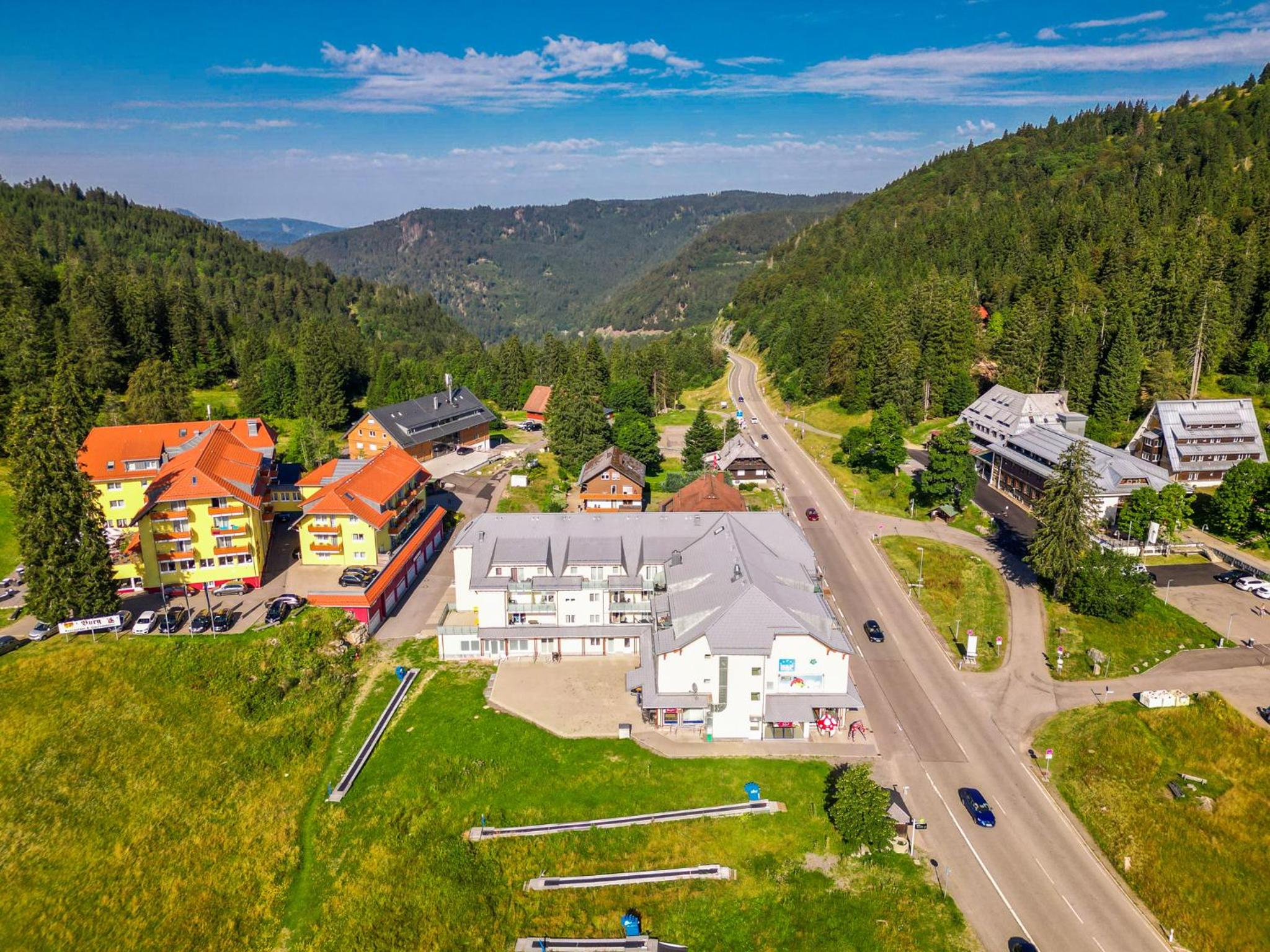 Auerhahn Feldberg