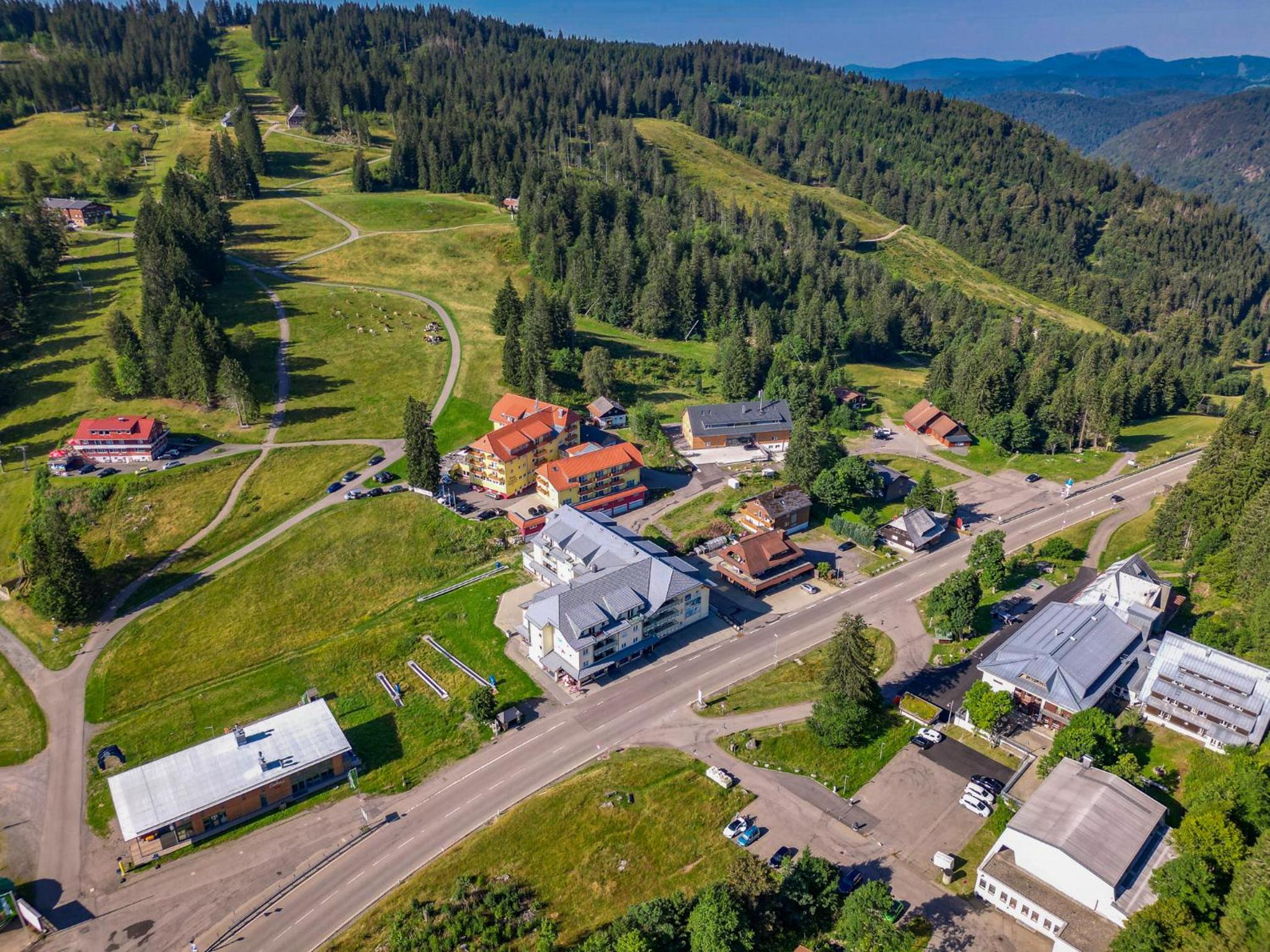 Auerhahn Feldberg