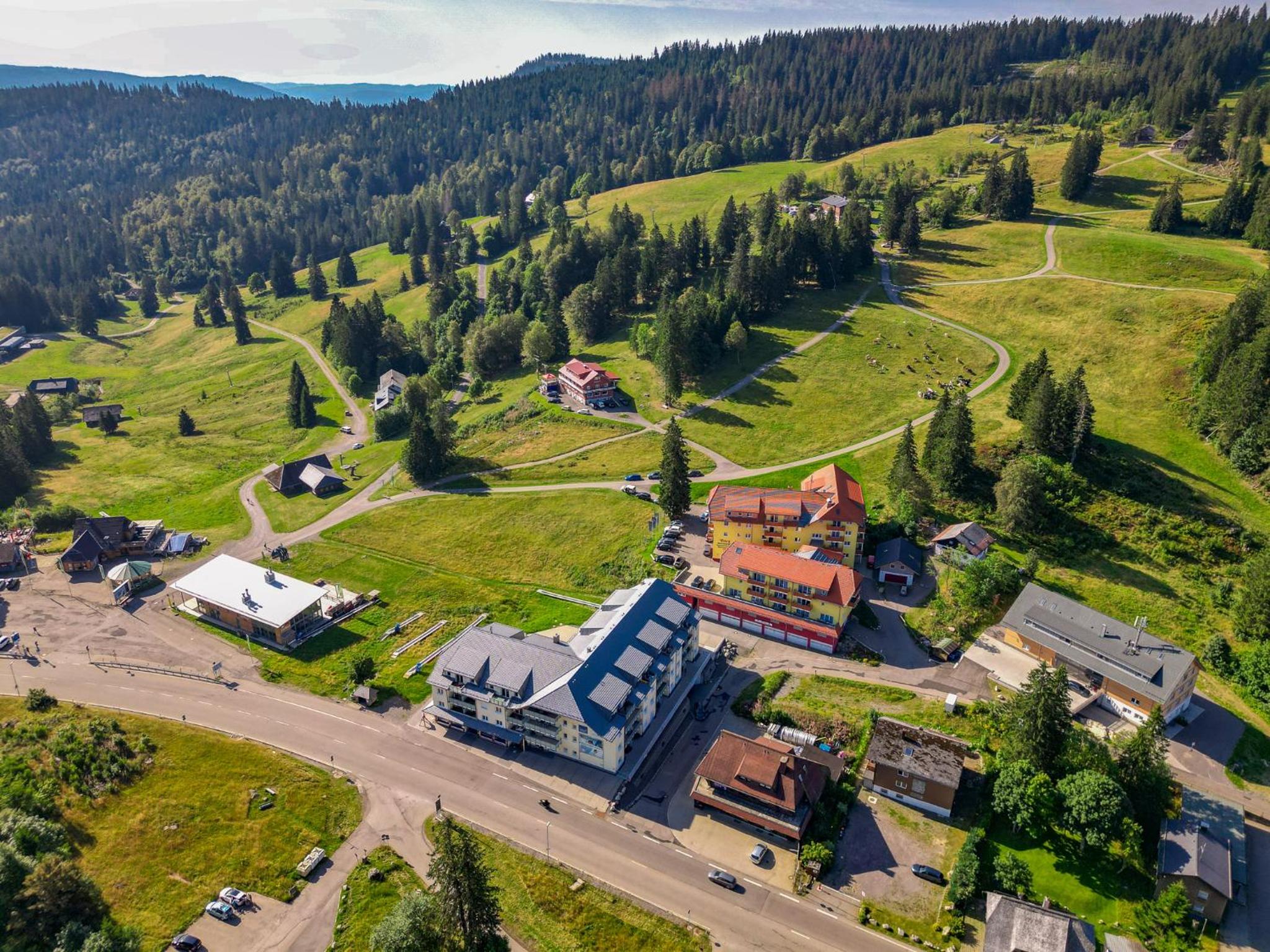 Auerhahn Feldberg