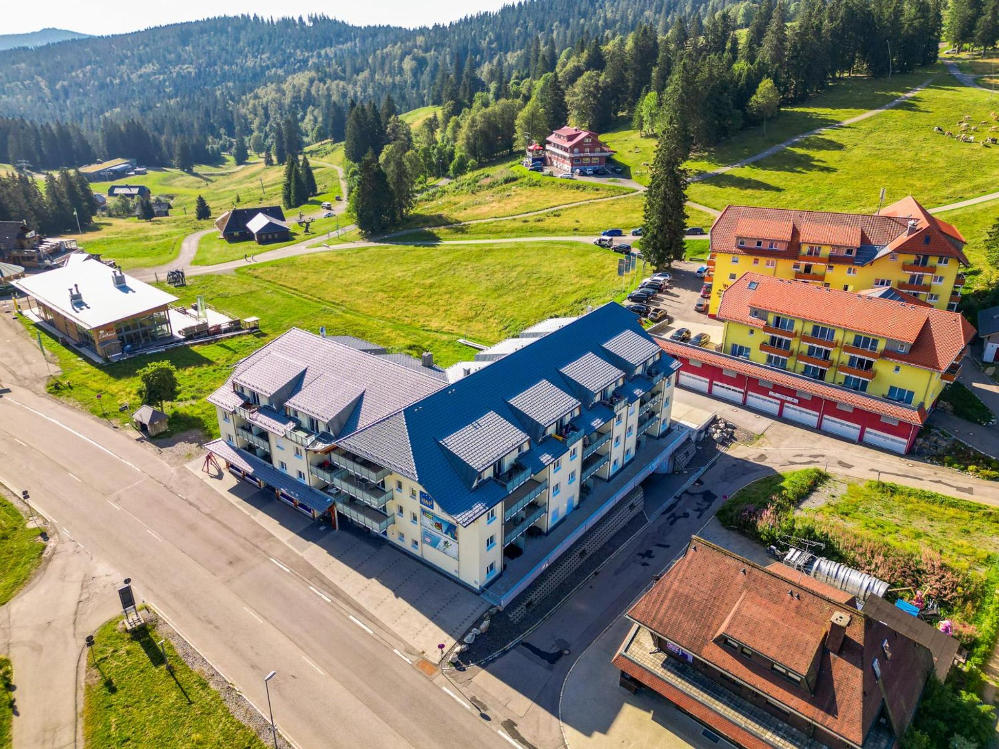 Auerhahn Feldberg