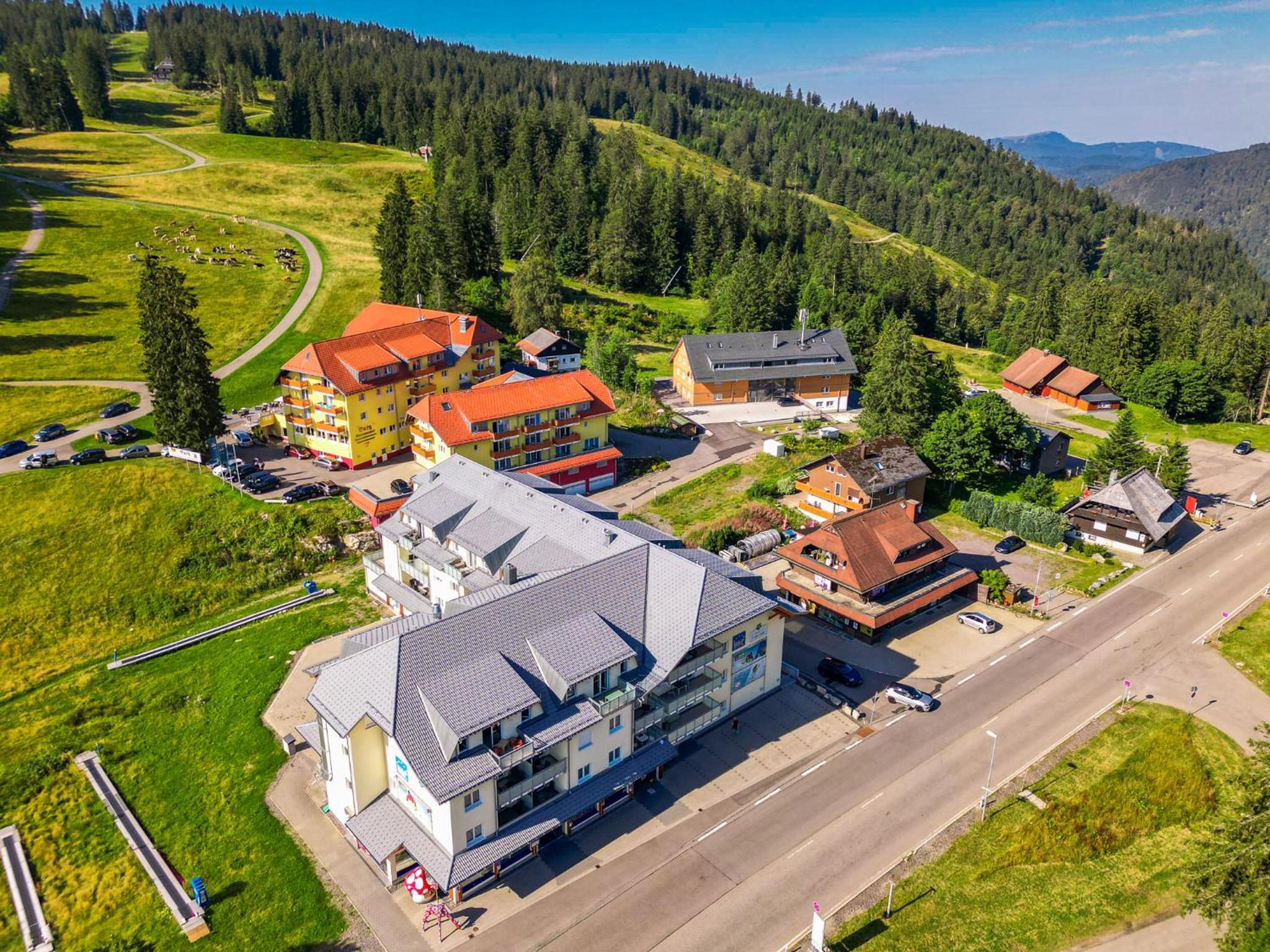Auerhahn Feldberg