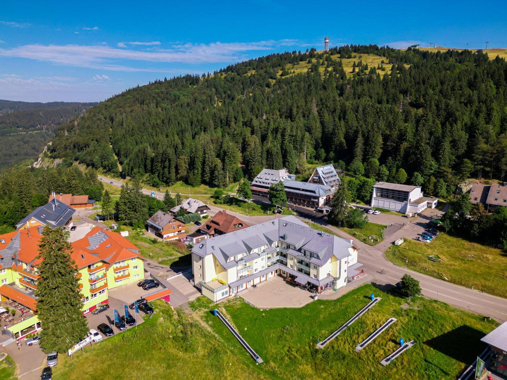 Auerhahn Feldberg