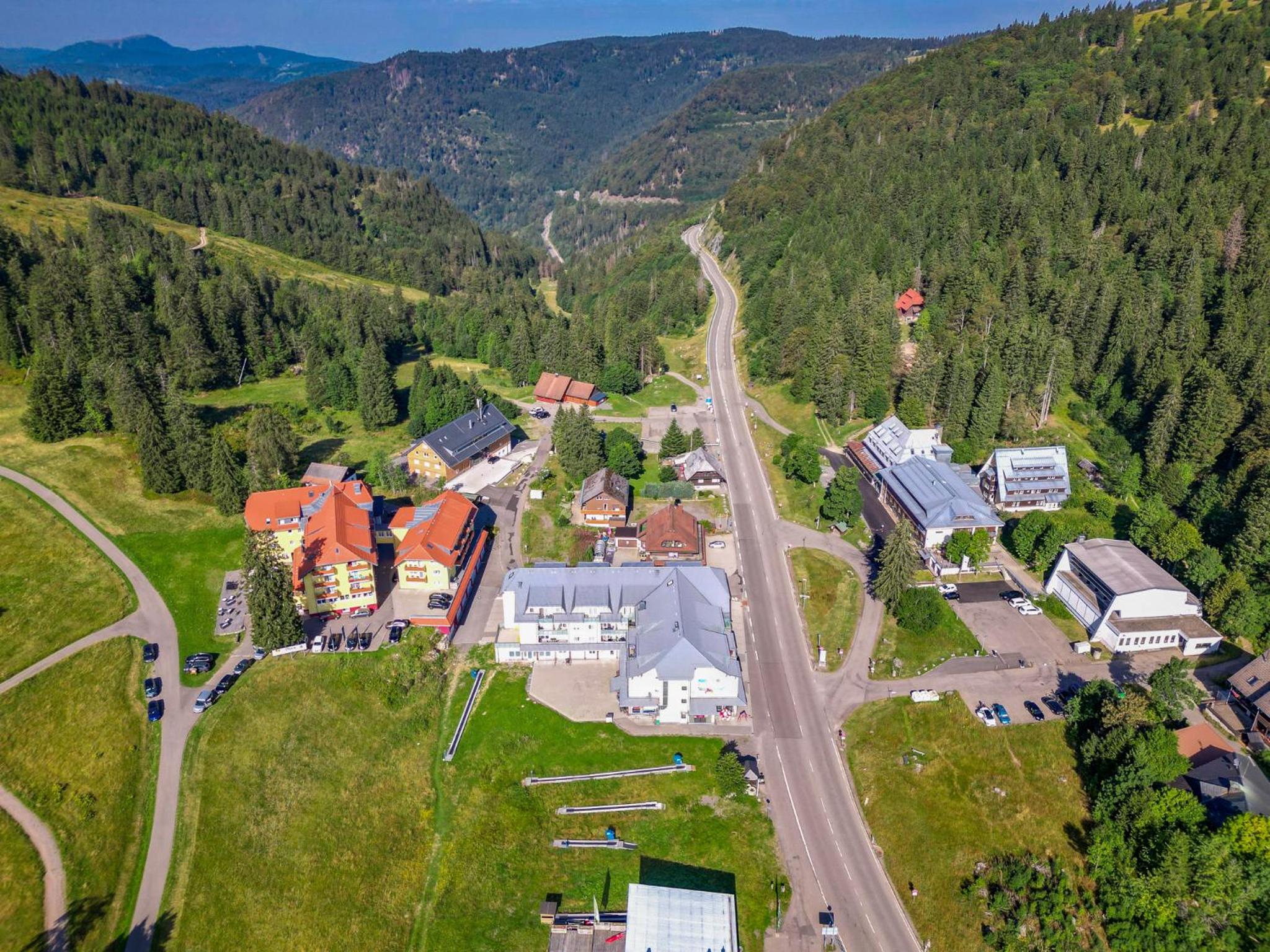 Auerhahn Feldberg