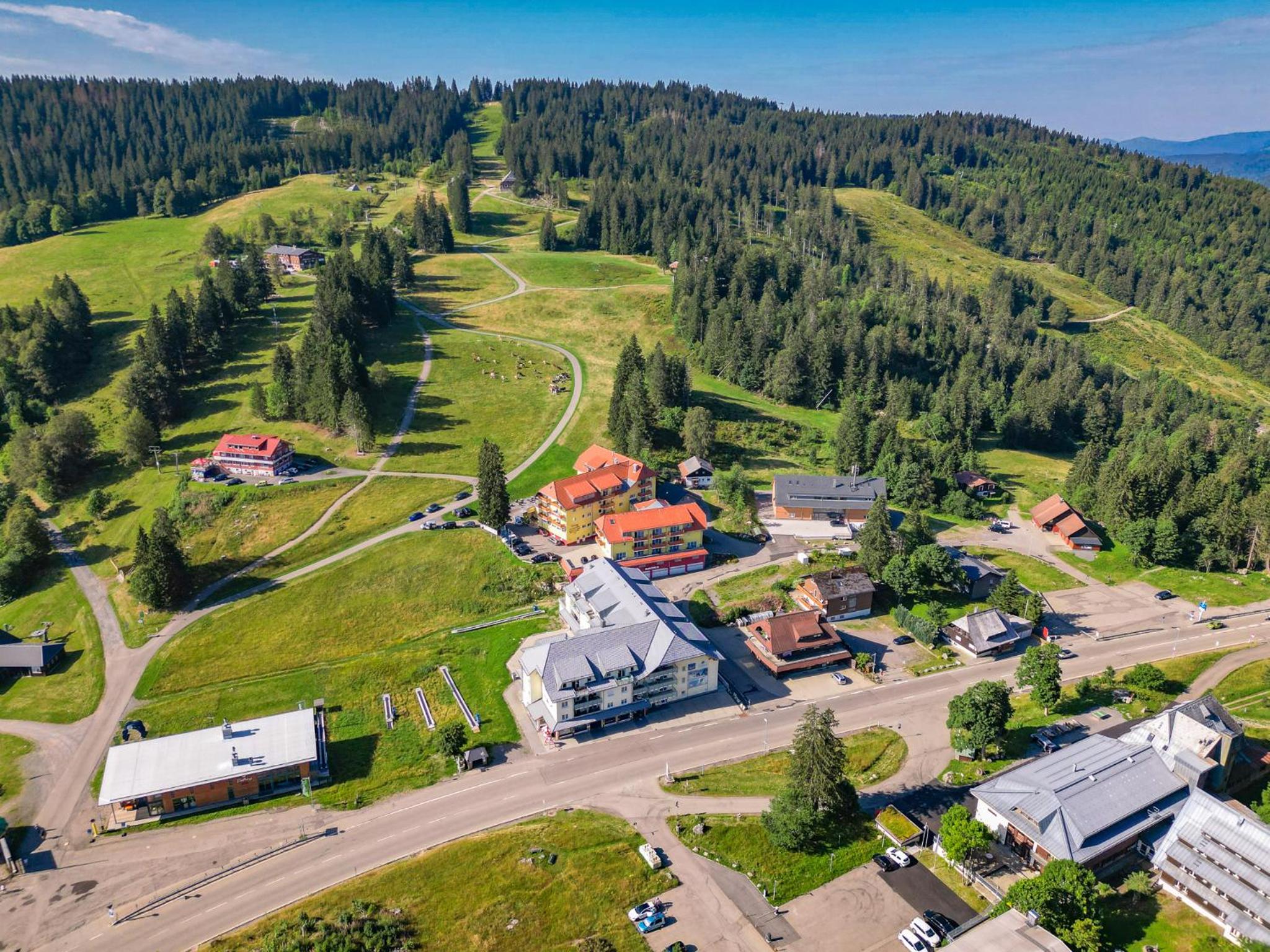 Auerhahn Feldberg