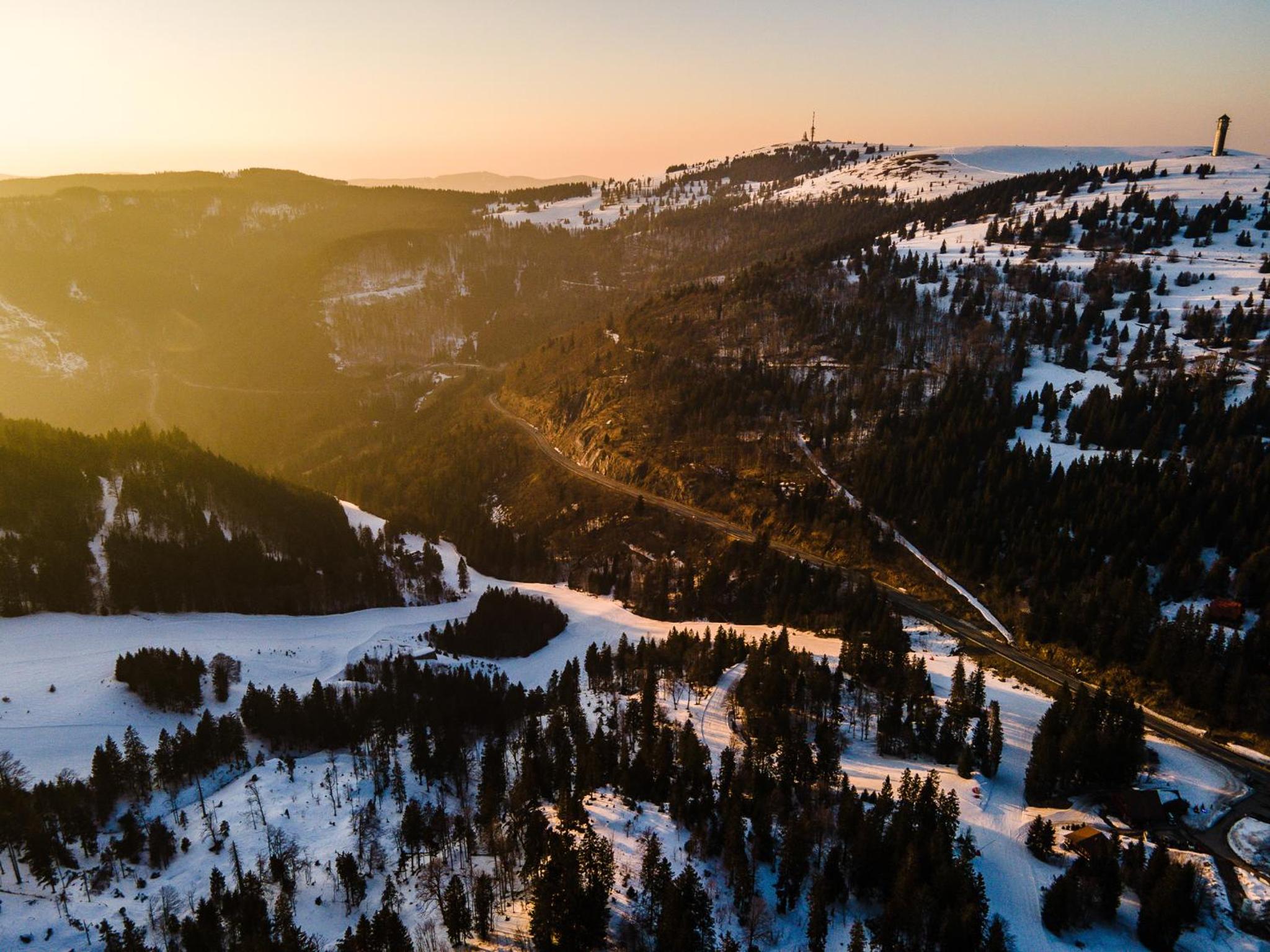 Auerhahn Feldberg