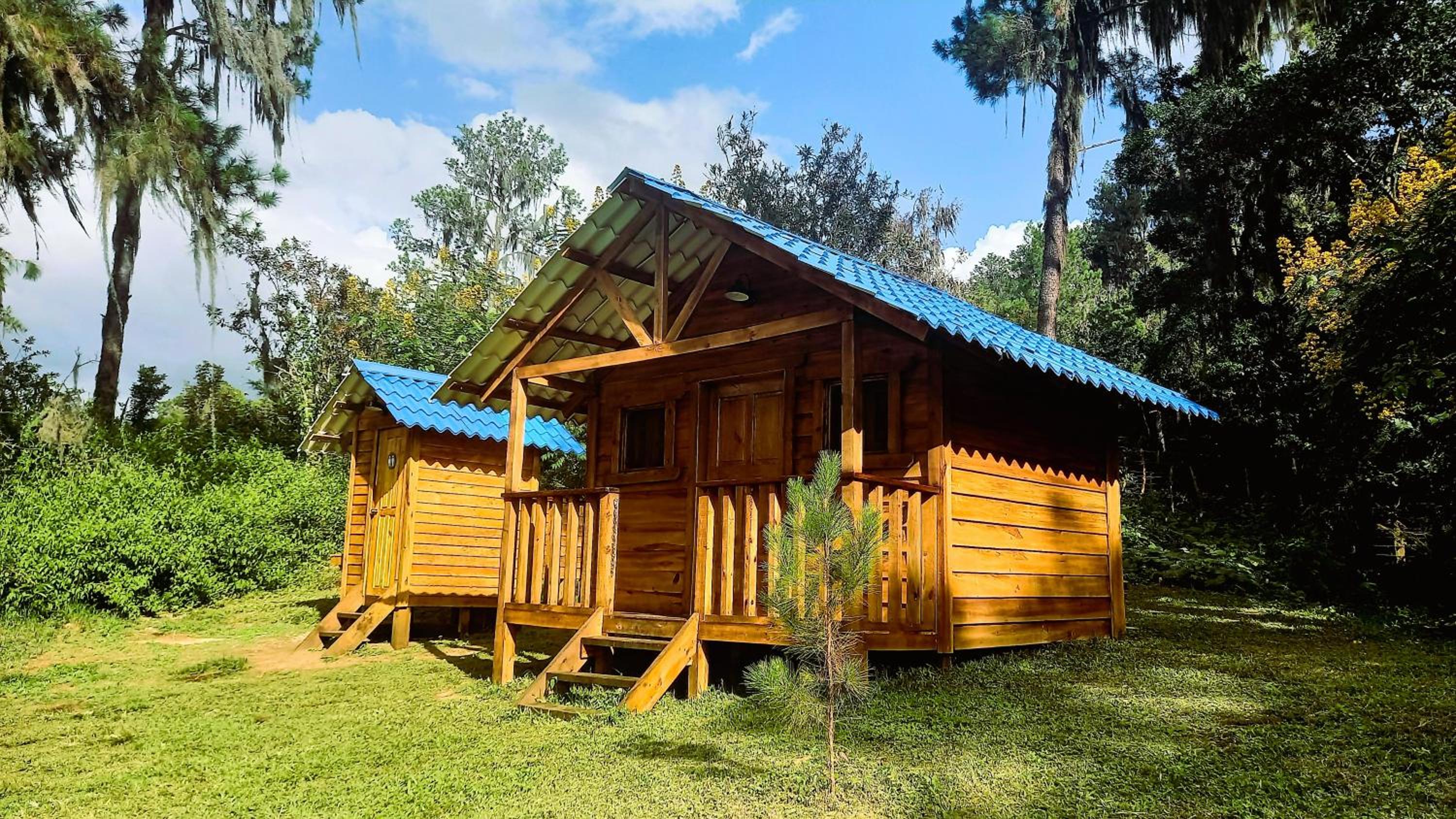 Pinar del Valle - Glamping en el Bosque - Propiedad Completa en Constanza view 3