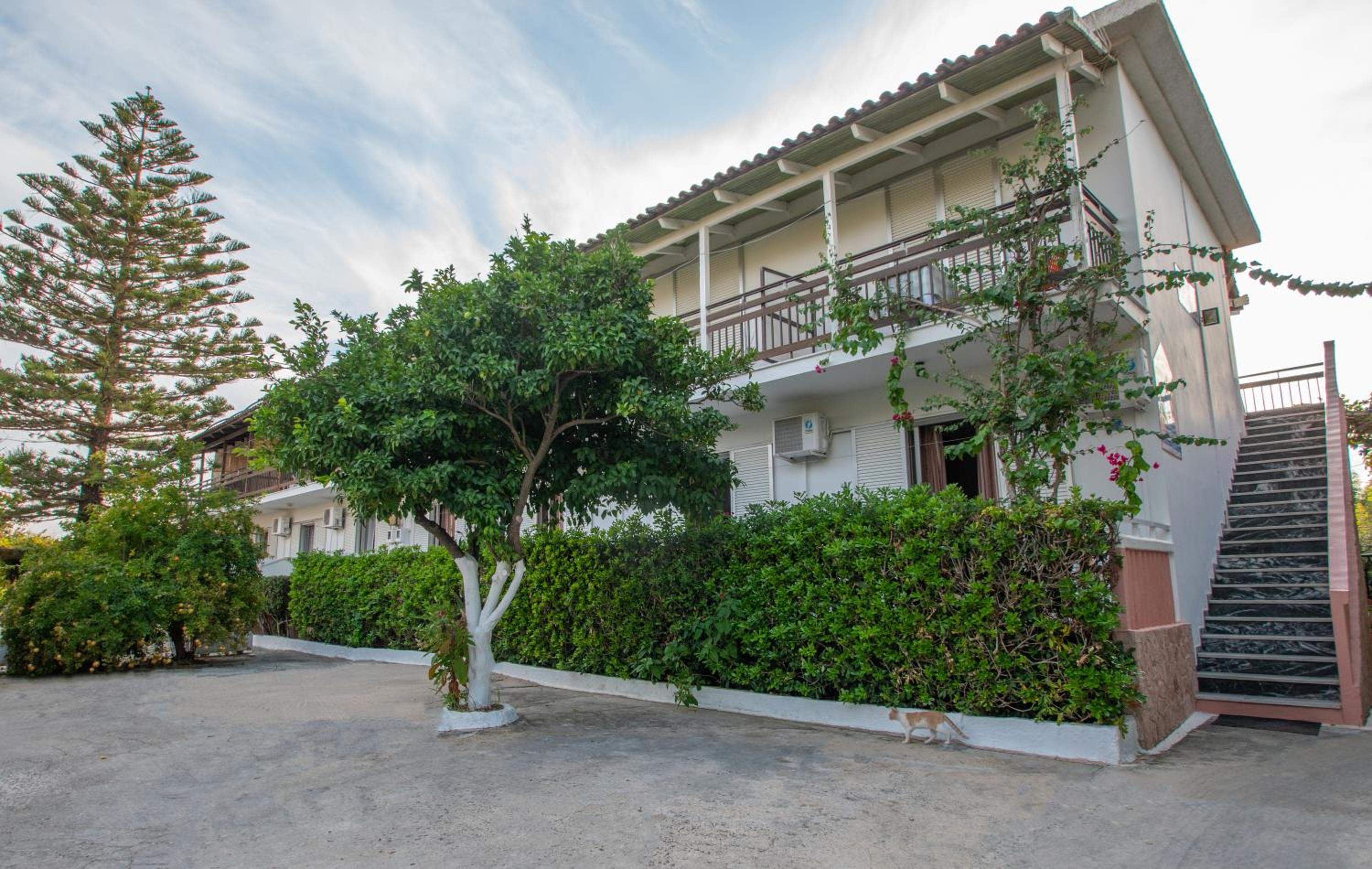 Theodora Studios Best Location In Laganas Next To The Party Area view 5