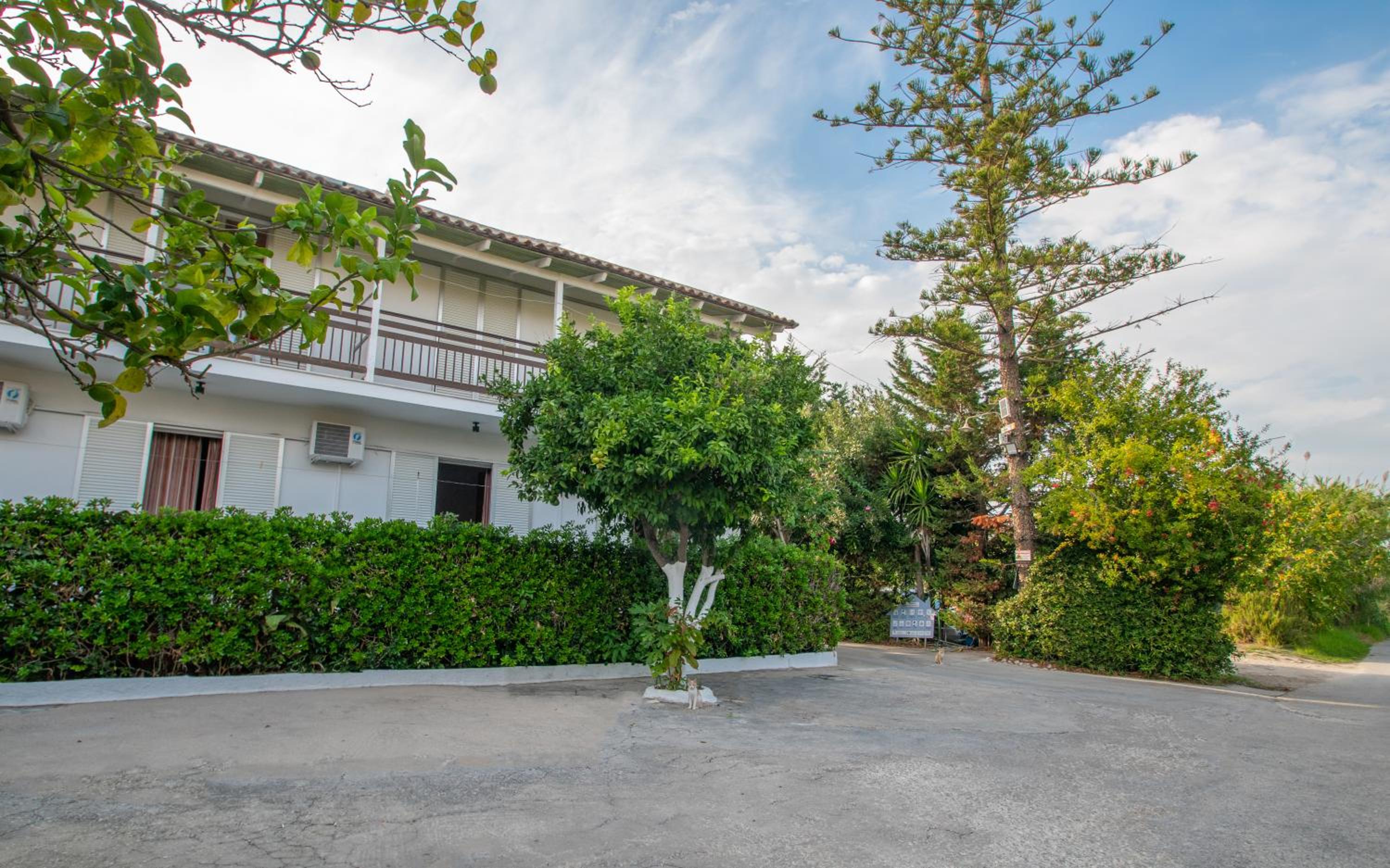Theodora Studios Best Location In Laganas Next To The Party Area view 4