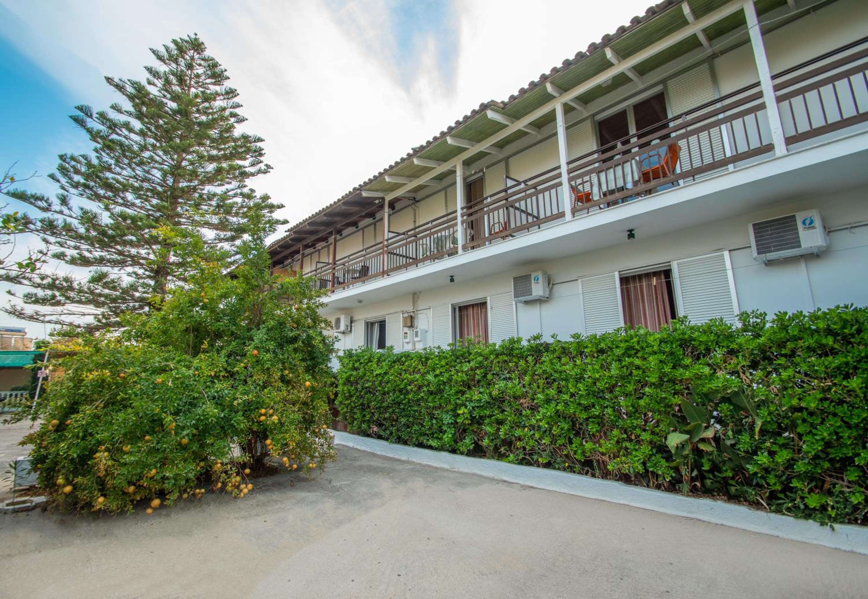 Theodora Studios Best Location In Laganas Next To The Party Area view 3