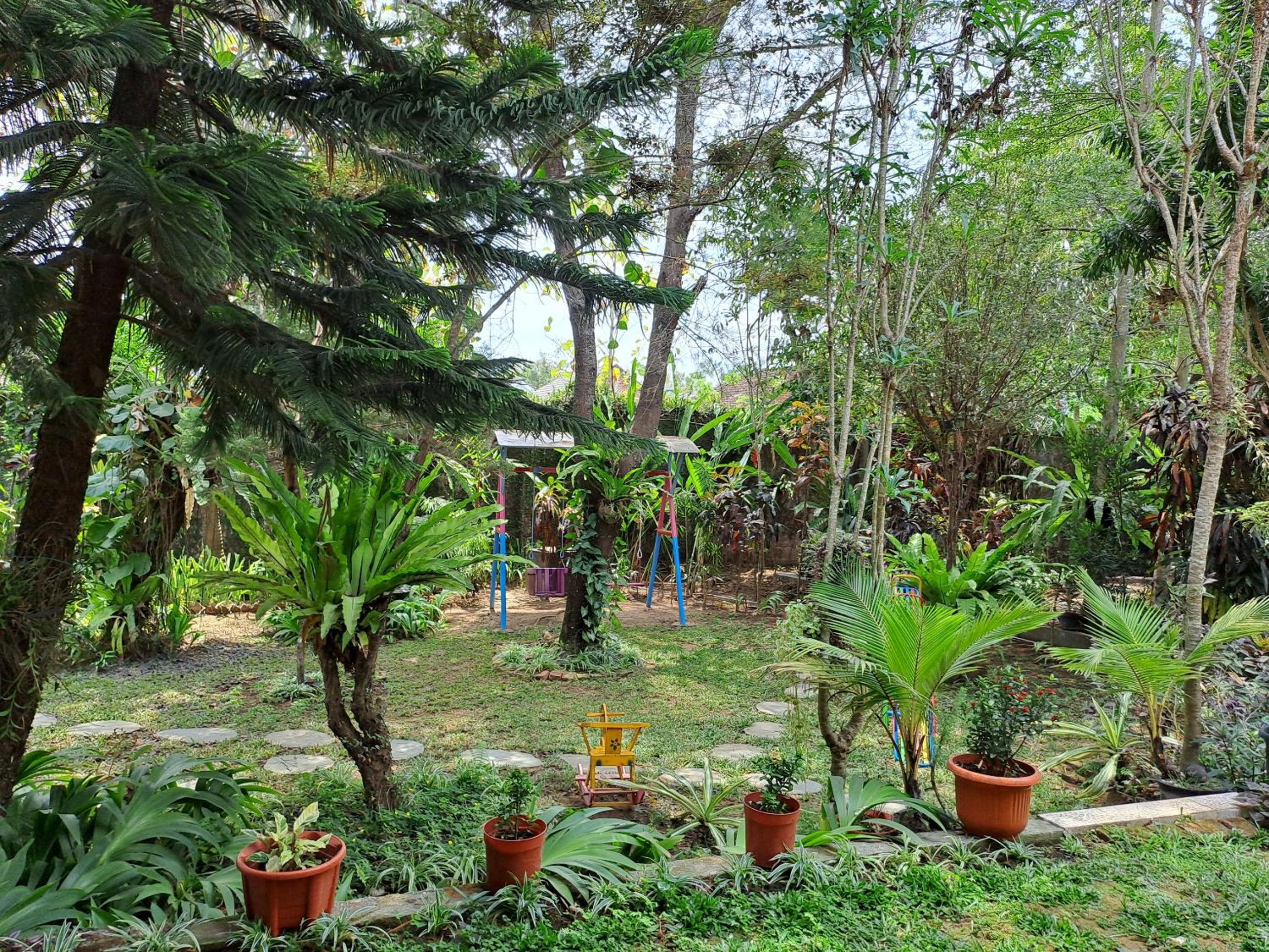 Photo 46