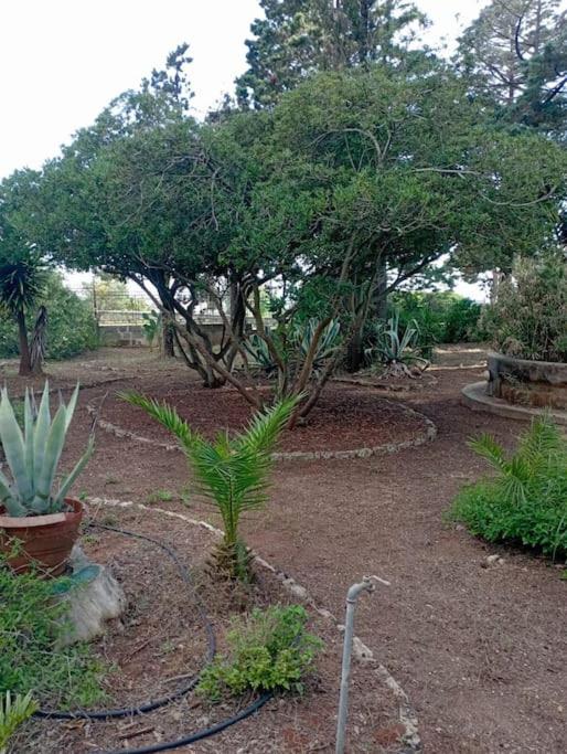 Villa Muia-Appartamento con giardino view 5