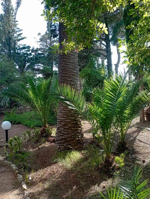 Villa Muia-Appartamento con giardino view 4