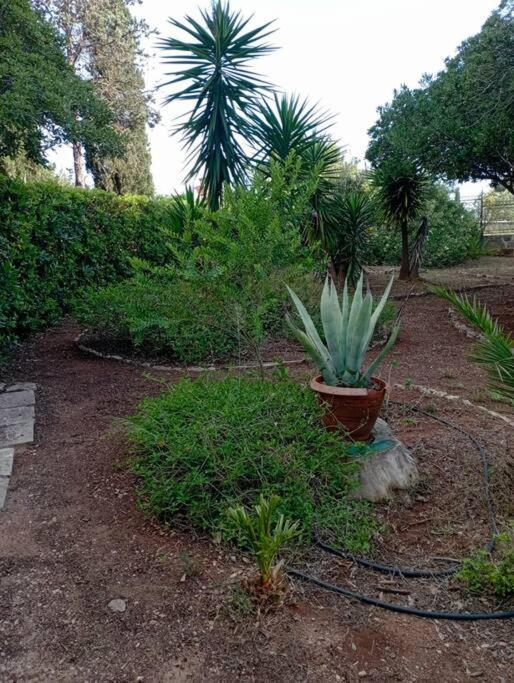 Villa Muia-Appartamento con giardino view 3