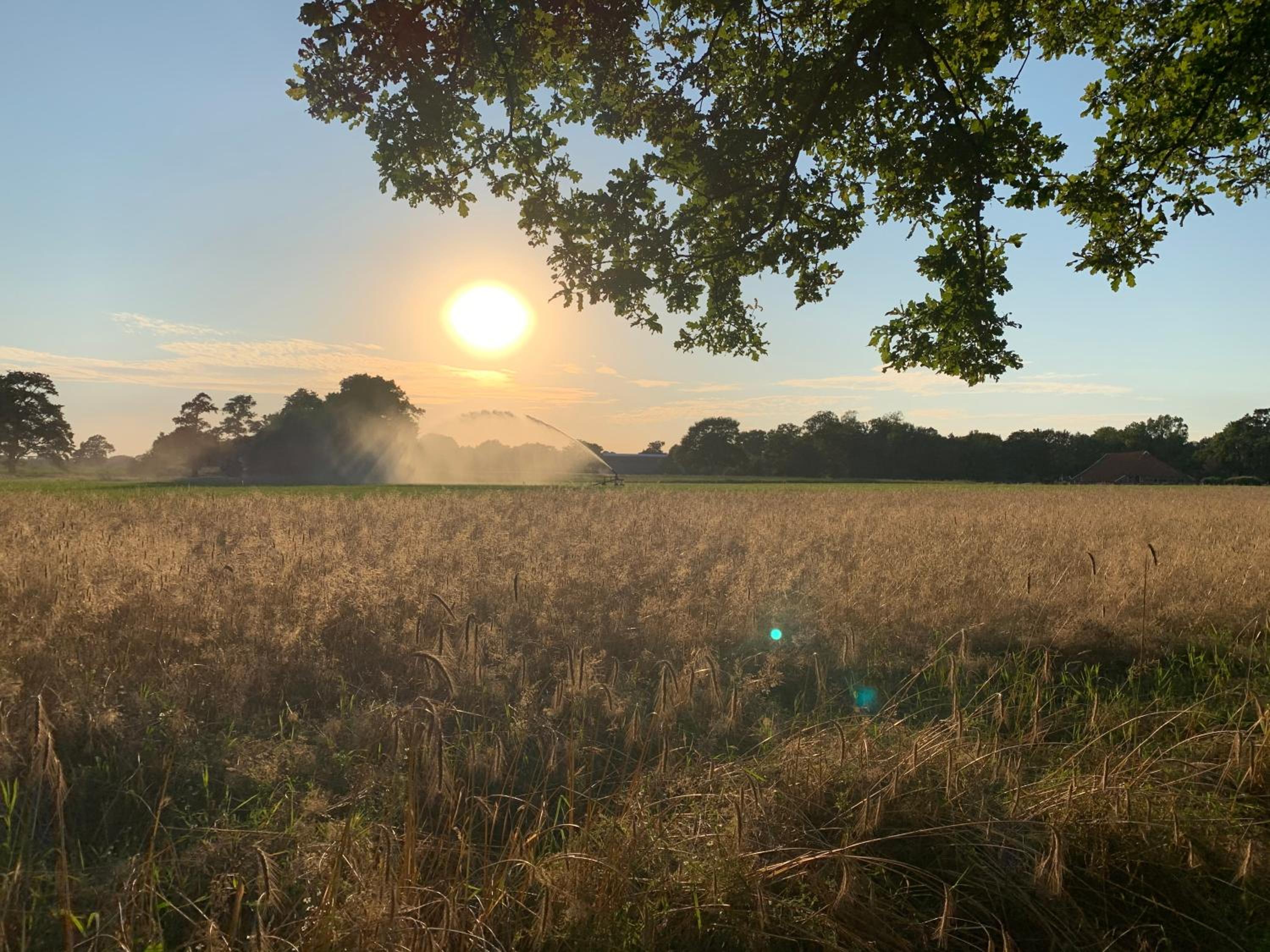 De Hiddinghhoeve view 3