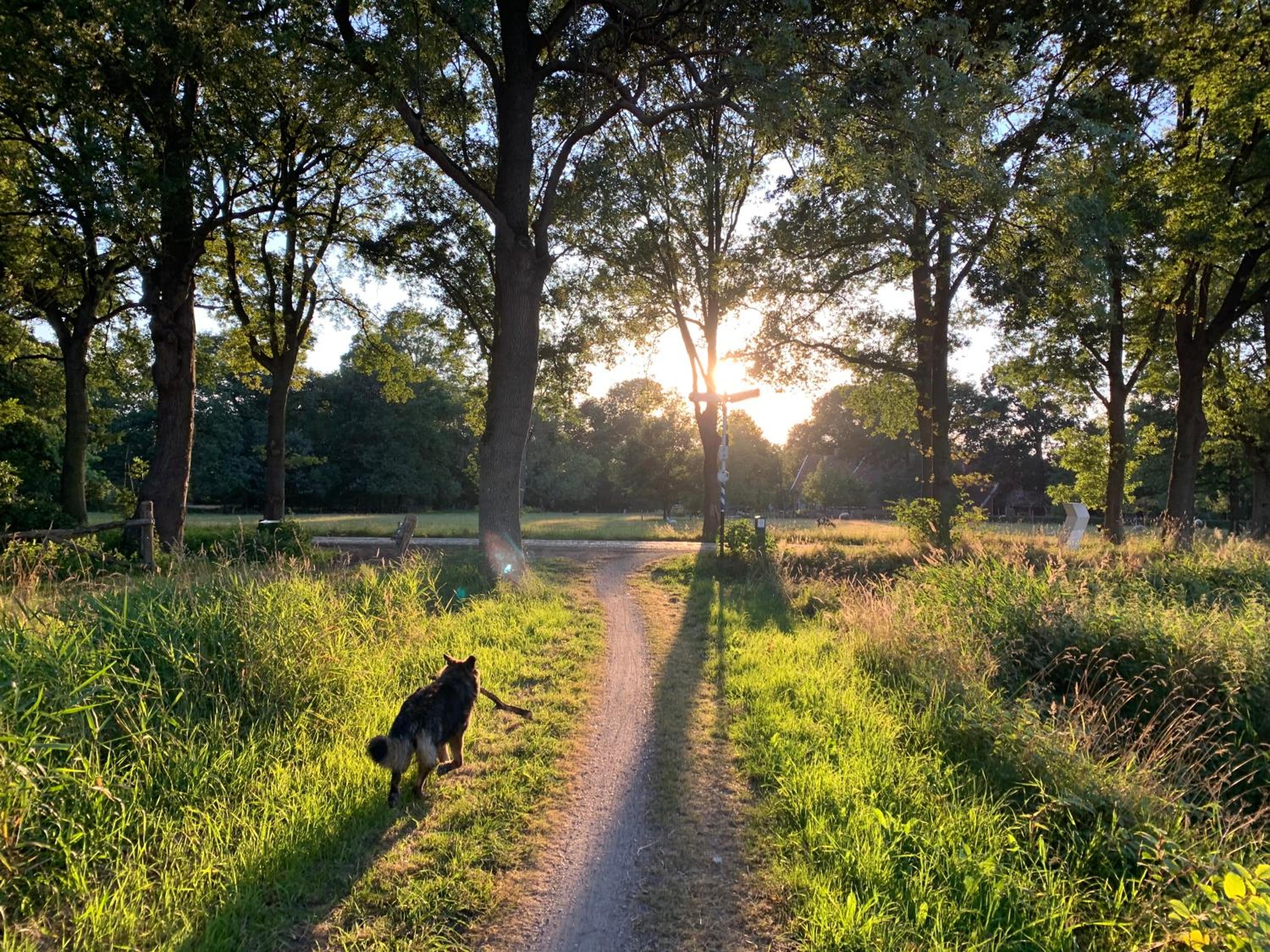 De Hiddinghhoeve view 2