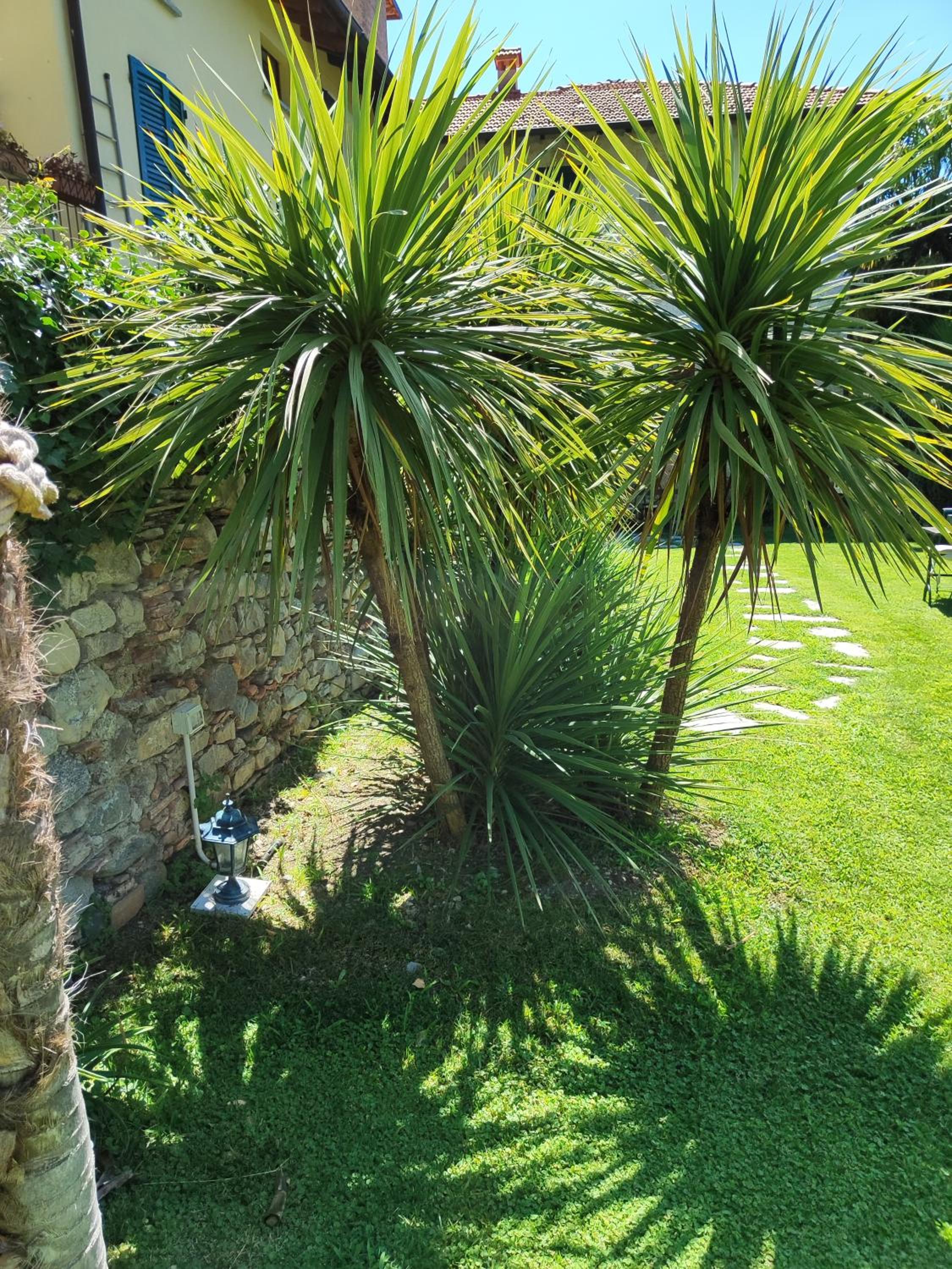Casa Lumaca photo 2