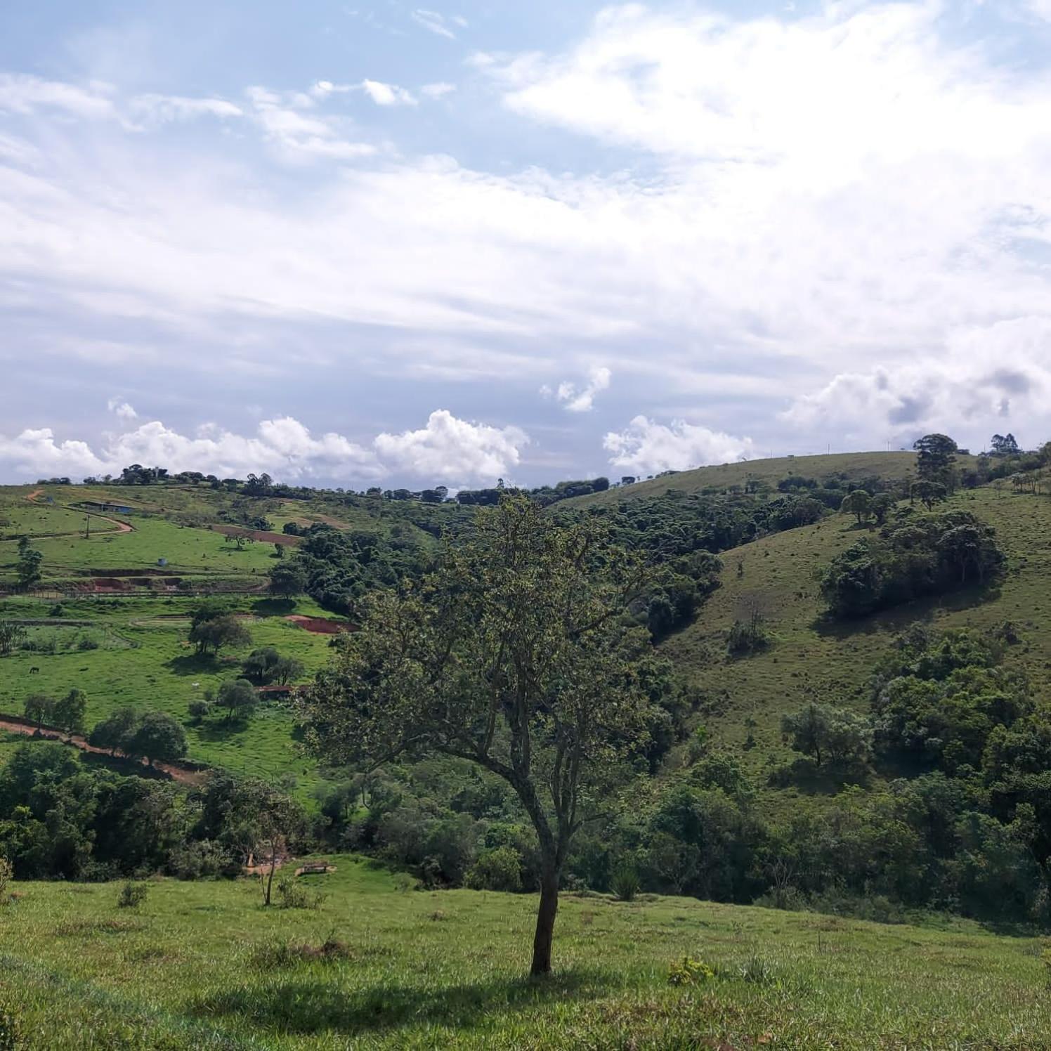 Fazenda do Engenho