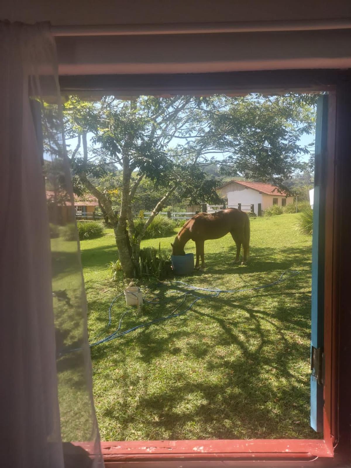 Fazenda do Engenho