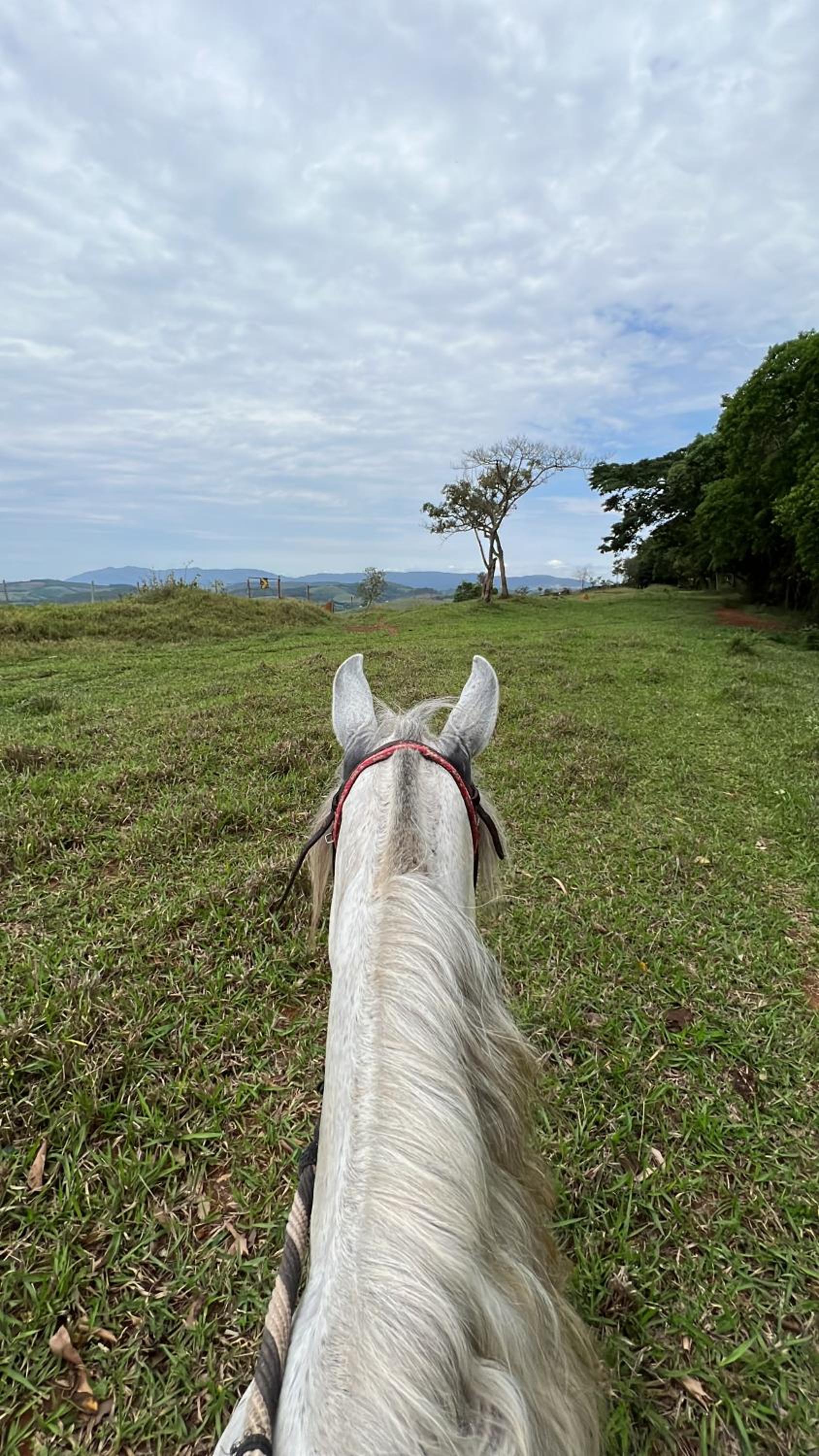 Fazenda do Engenho