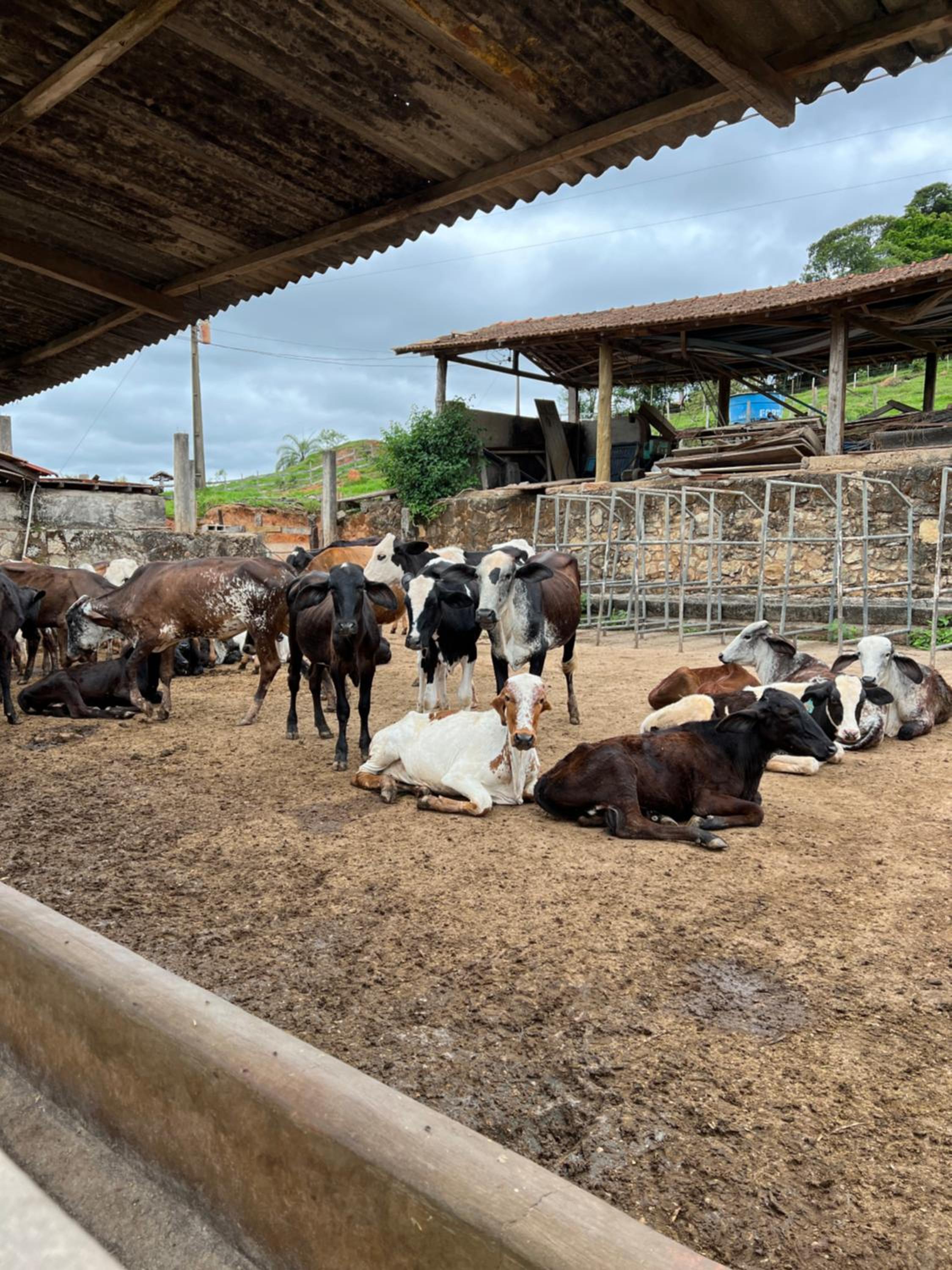 Fazenda do Engenho