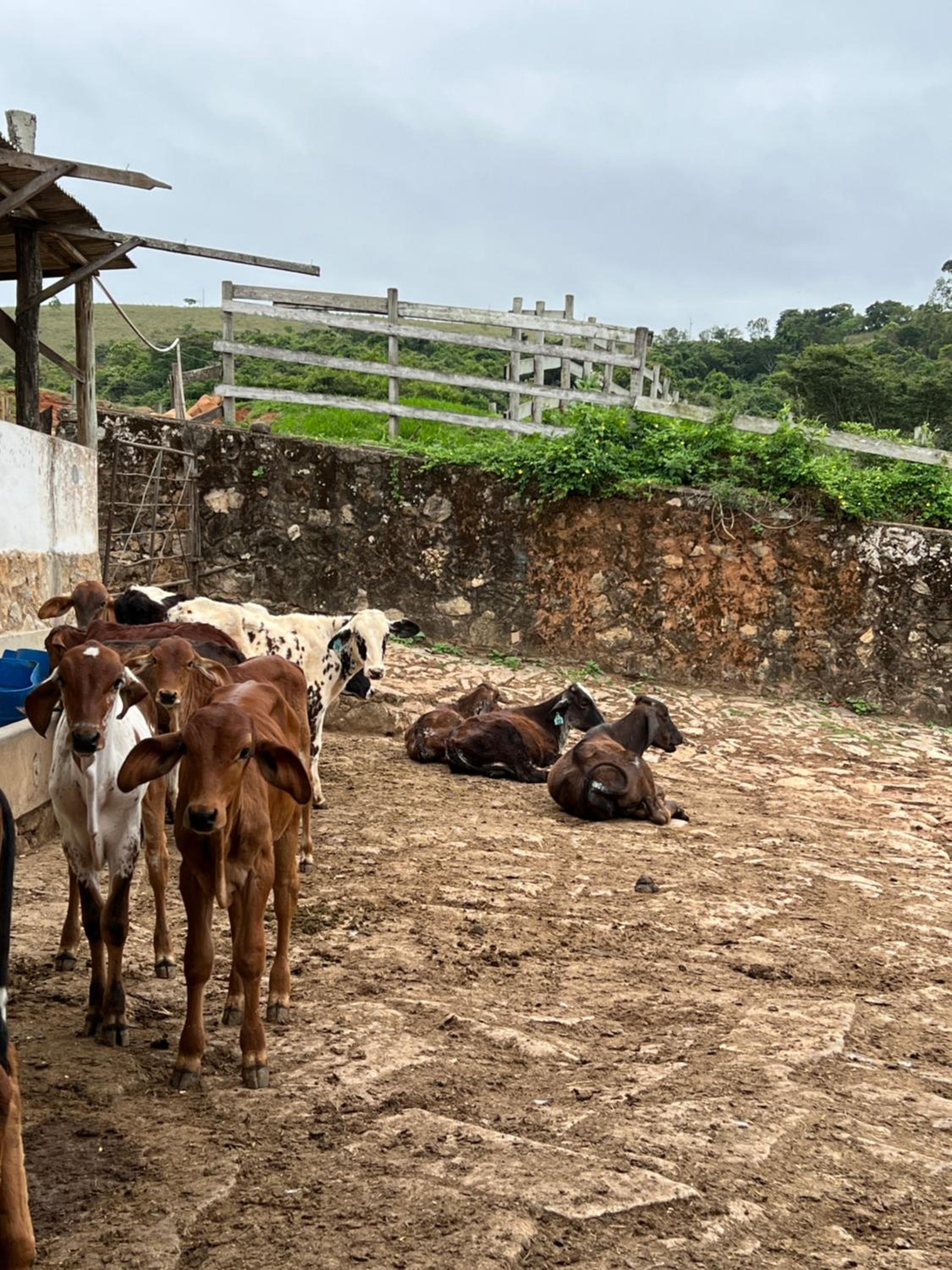 Fazenda do Engenho
