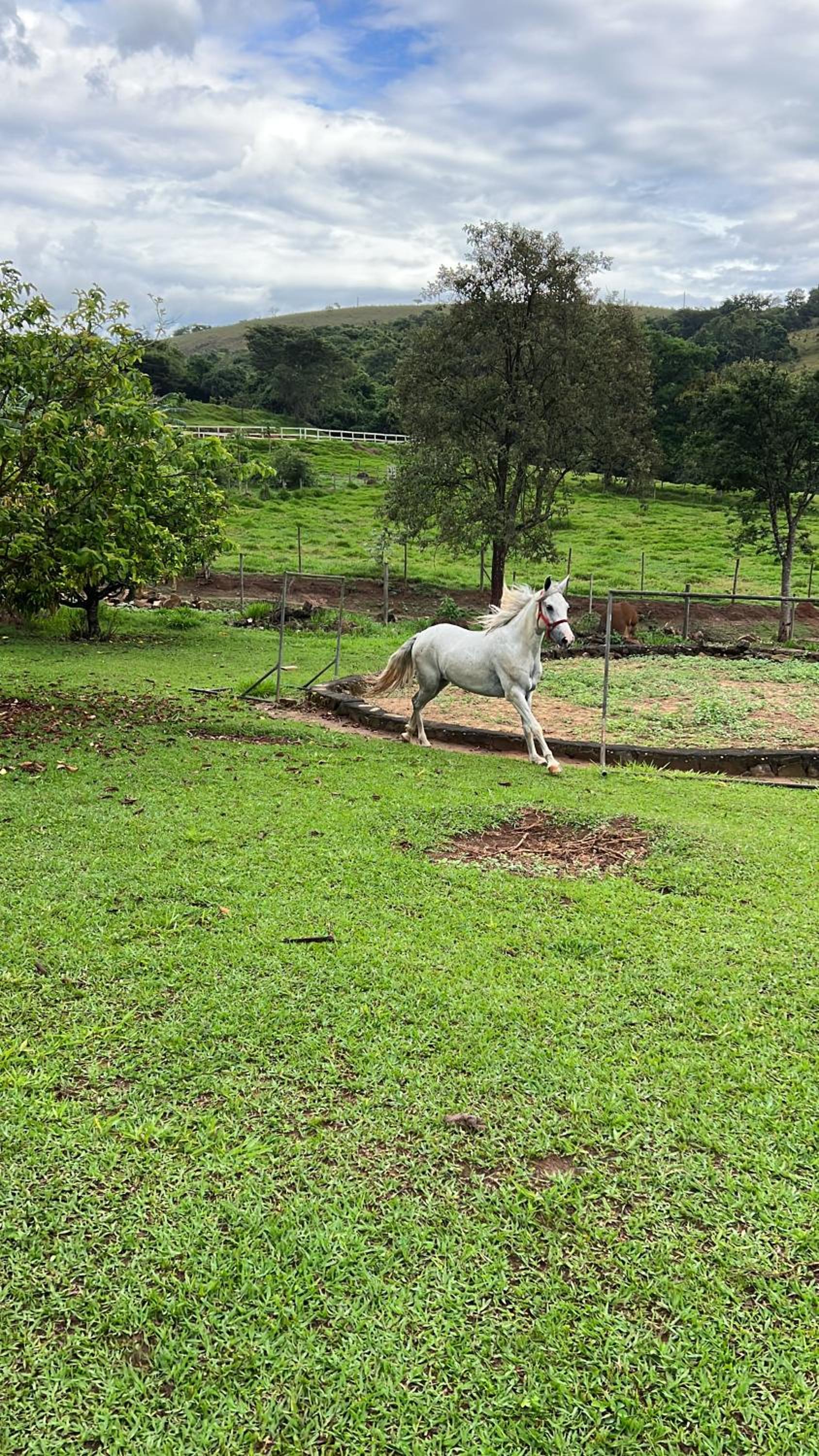 Fazenda do Engenho