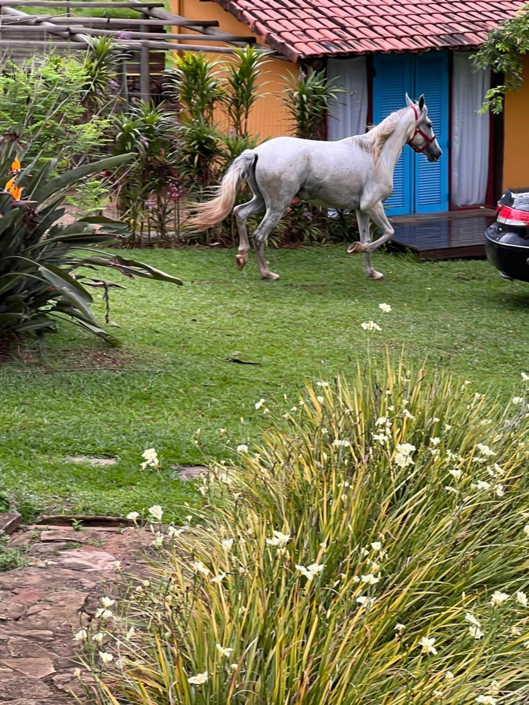 Fazenda do Engenho